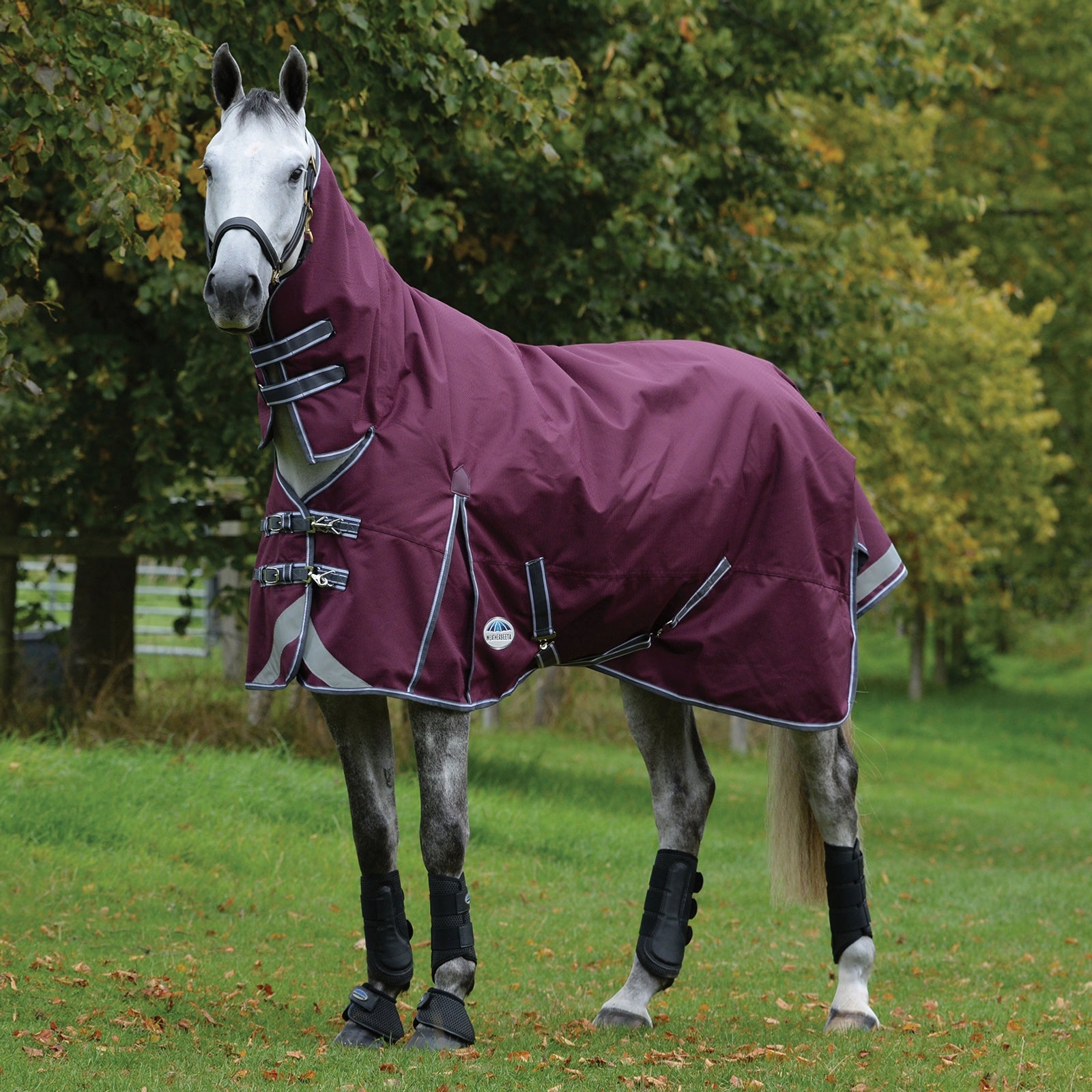 Weatherbeeta Comfitec Plus Dynamic II Combo Neck Turnout Rug, 220g Horse Rugs