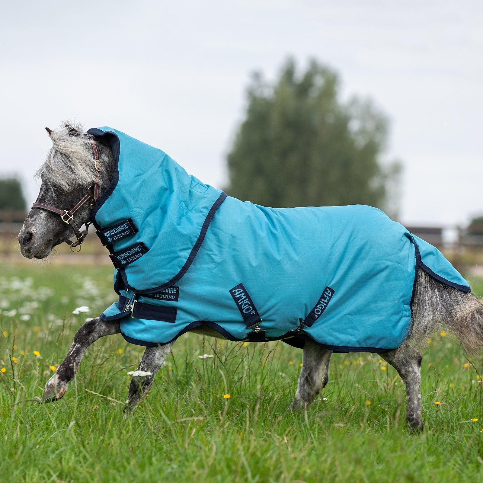 Horseware Amigo Hero 6 Petite Plus Turnout incl. Detachable Hood, 0g Horse Rugs