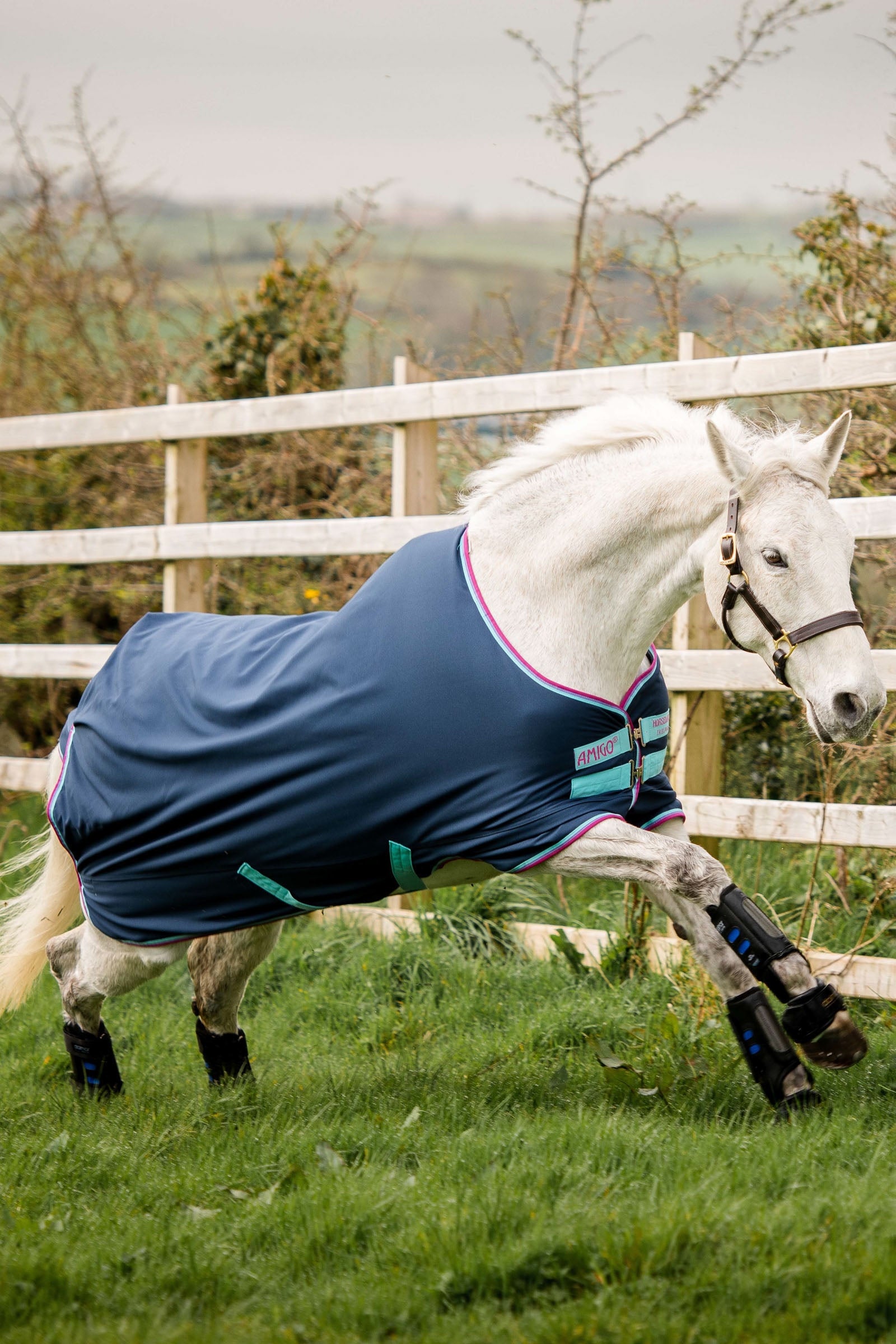 Horseware Amigo Hero 900 Pony ulkoloimi, 200 g Loimet