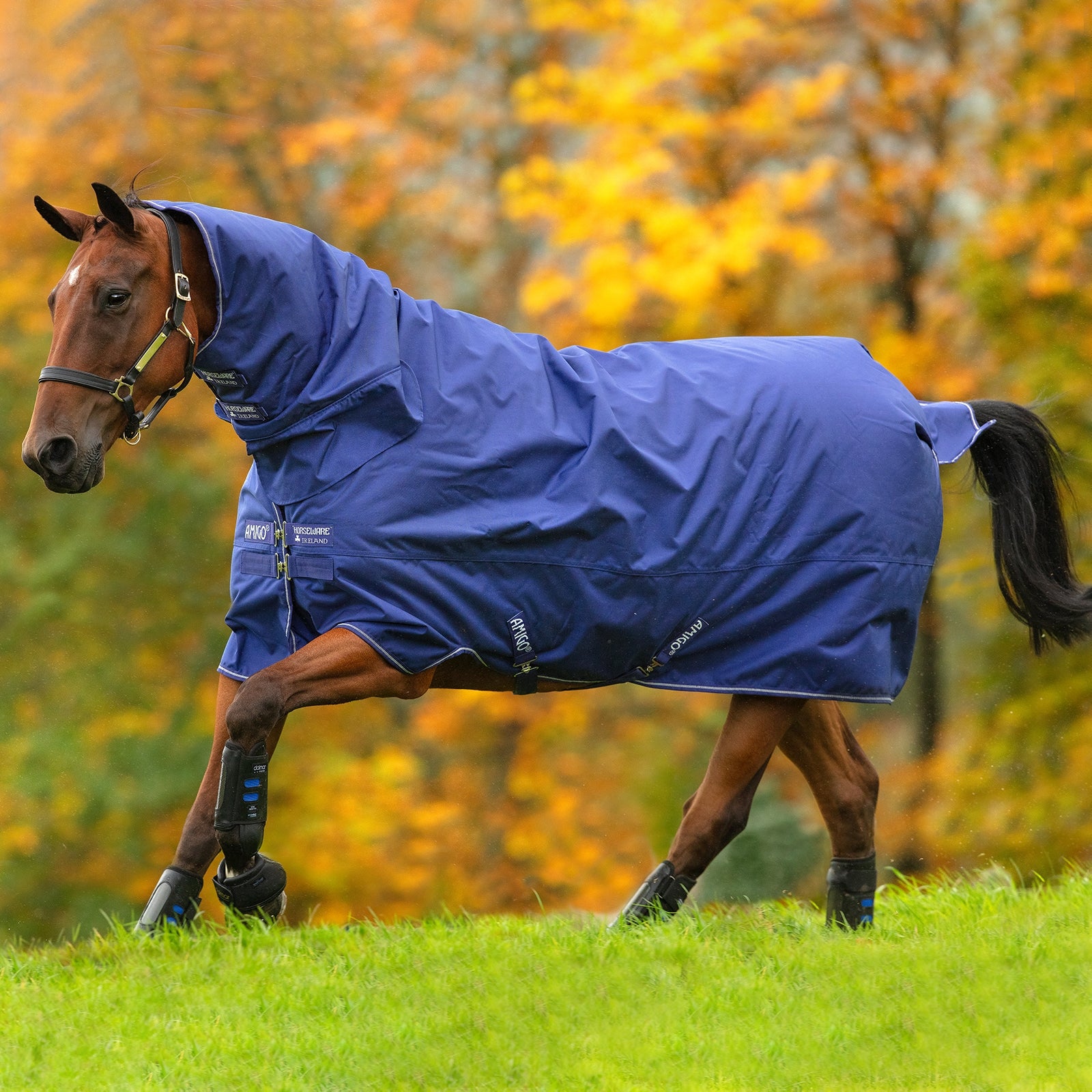Horseware Amigo Hero 900 All-In-One ulkoloimi integroidulla kaulakappaleella, 200 g Loimet