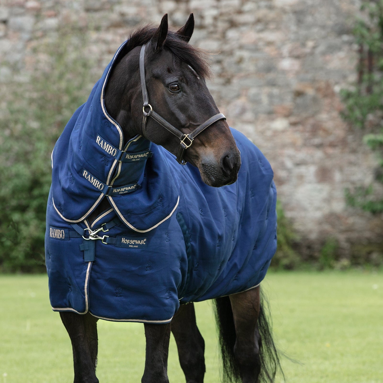 Horseware Rambo Deluxe Plus talliloimi irrotettavalla kaulakappaleella, 200 g Loimet