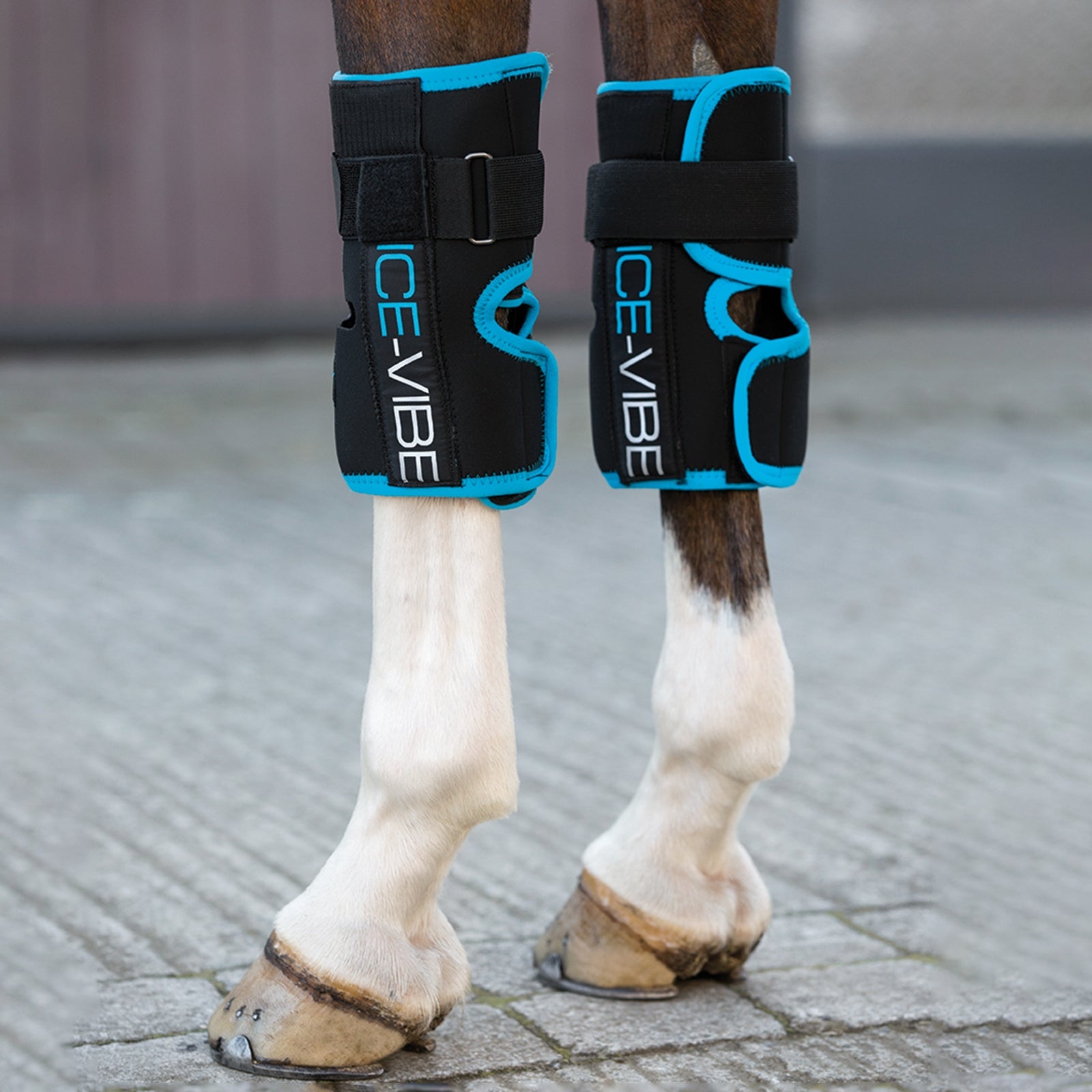Horseware Ice-Vibe polvisuojat Hoito