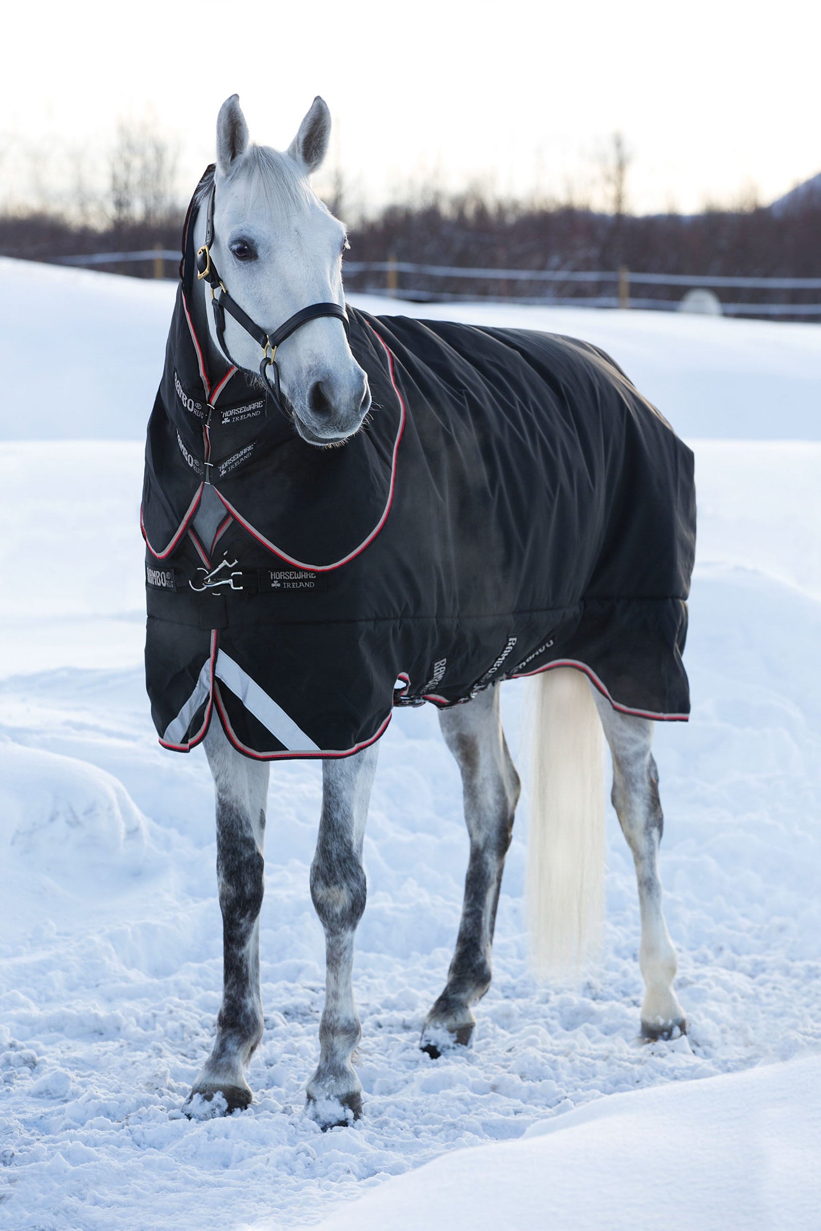Horseware Rambo Supreme ulkoloimi irrotettavalla kaulakappaleella, 420 g Loimet