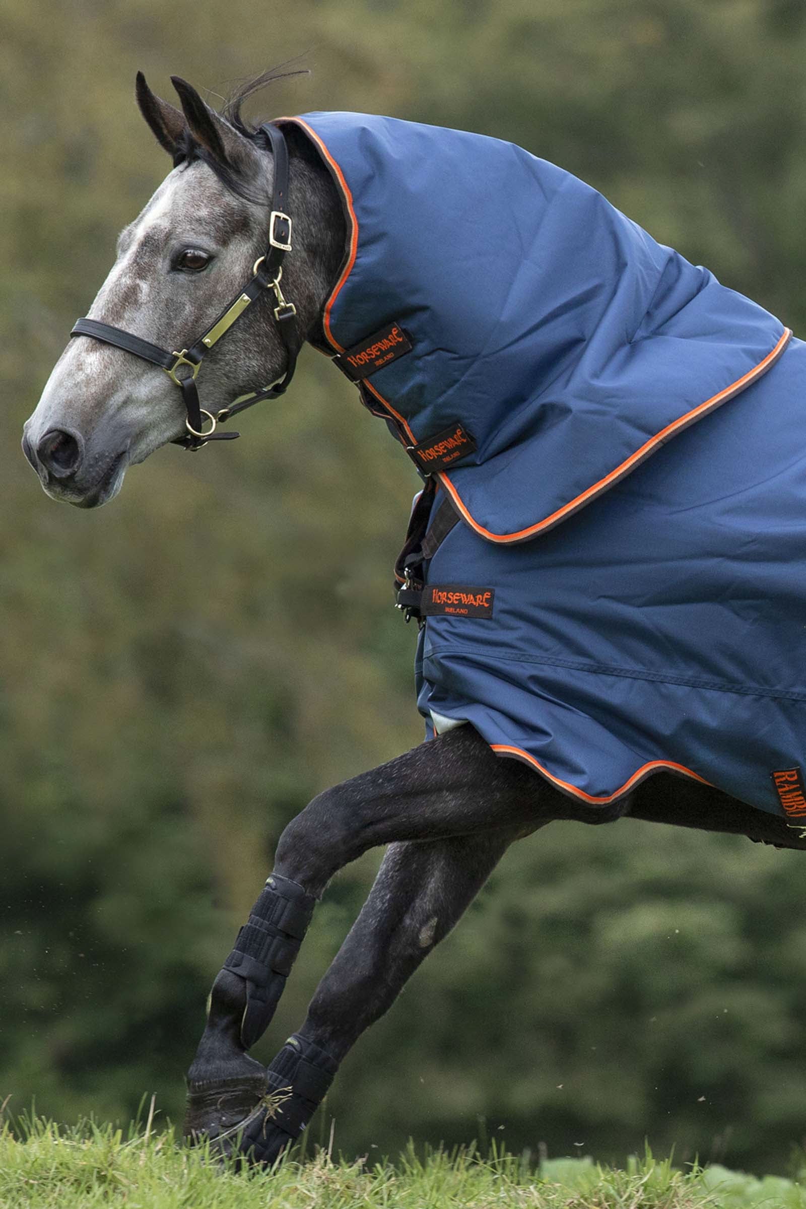 Horseware Rambo Duo Hood, 50g Loimet