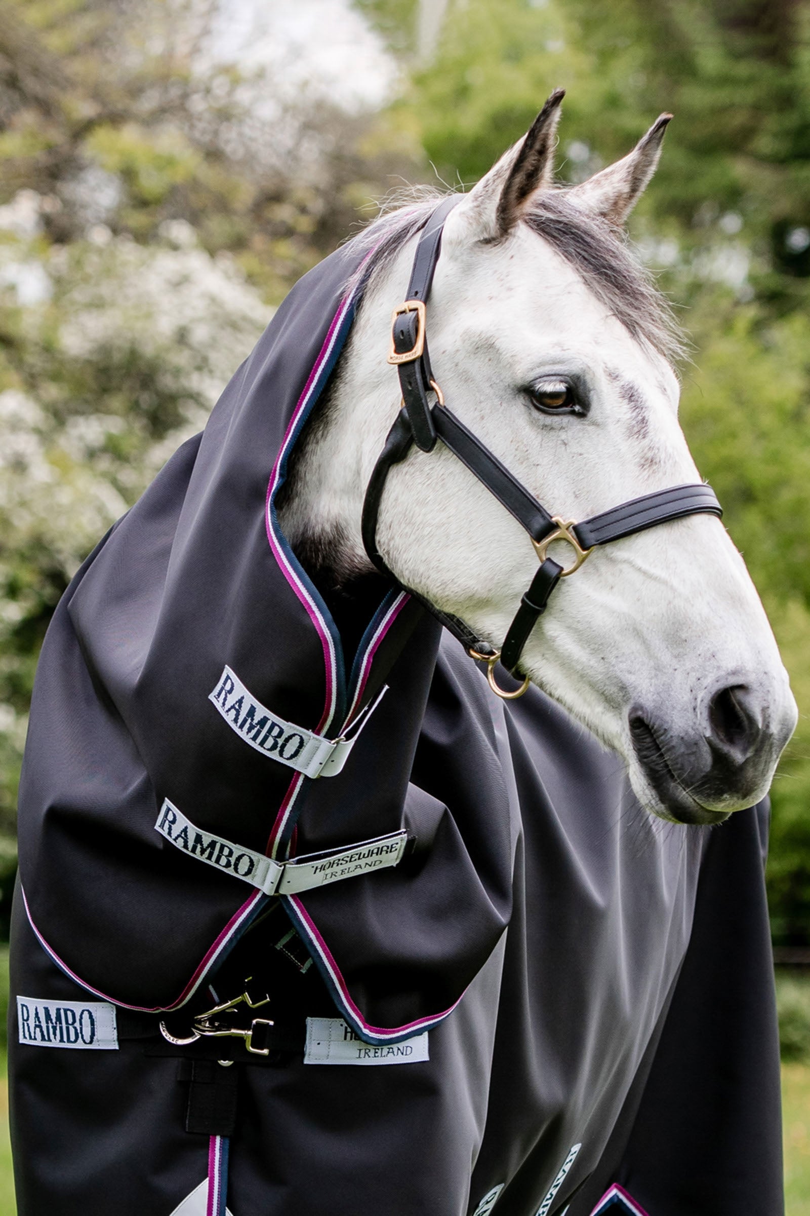 Horseware Rambo Supreme kaulakappale, 0 g Loimet