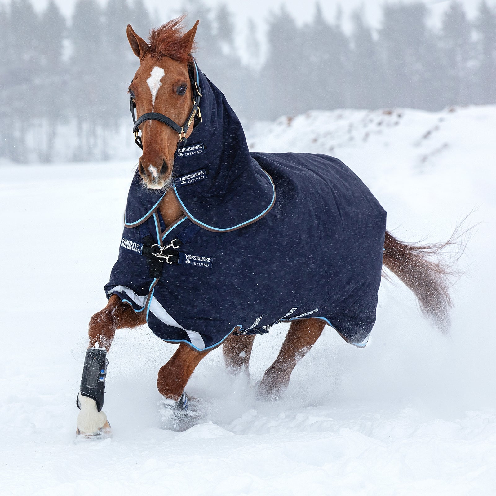 Horseware Rambo Duo ulkoloimi irrotettavalla kaulakappaleella, 100 g Loimet