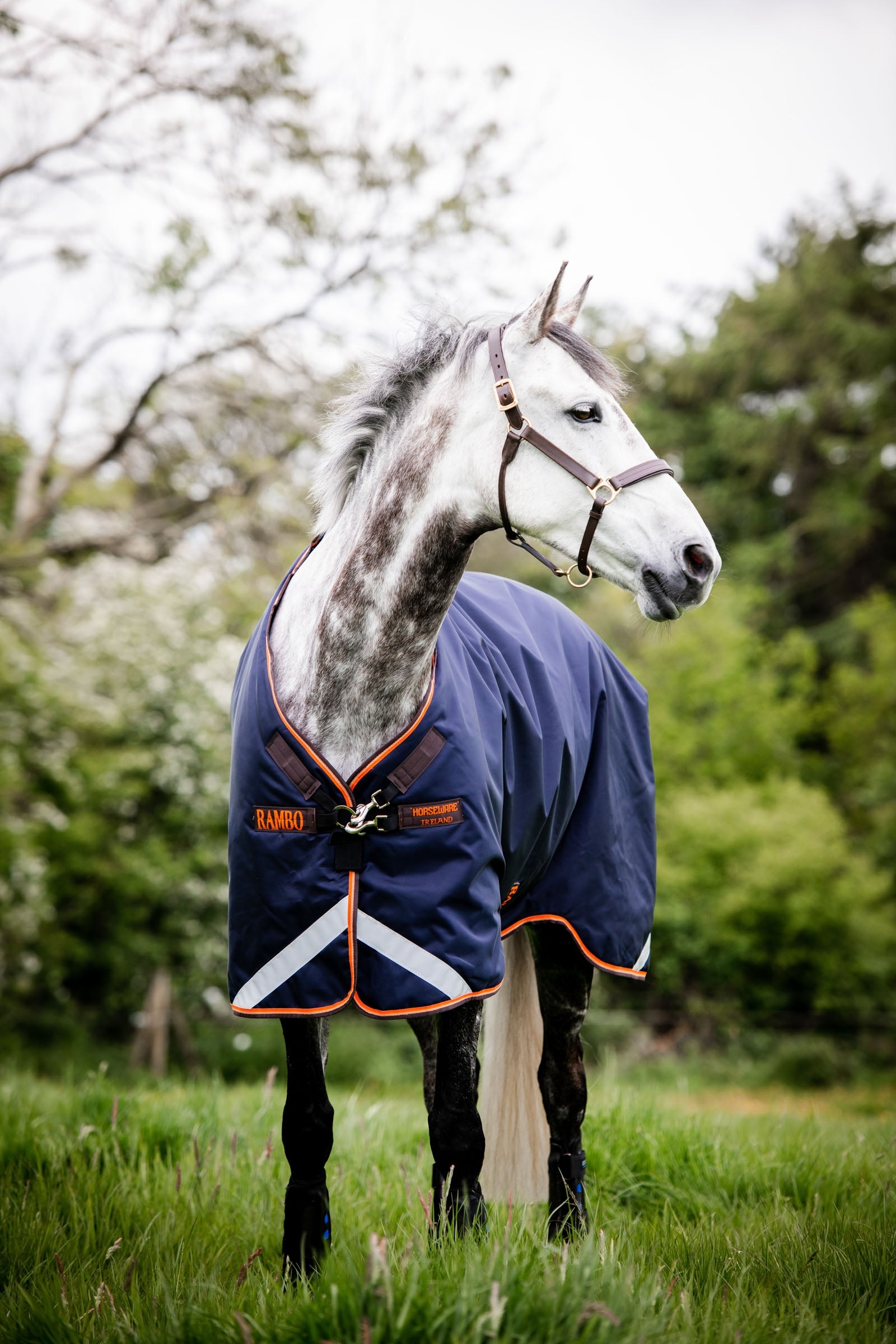 Horseware Rambo Original ulkoloimi jalkatiloilla, 100 g Loimet