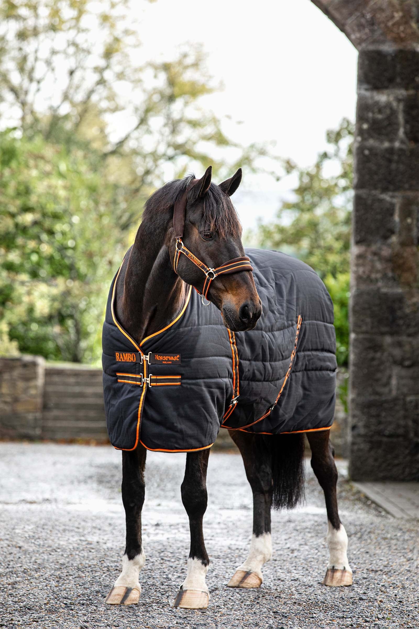 Horseware talliloimi kohokuvioidulla vuorauksella, 200 g Loimet