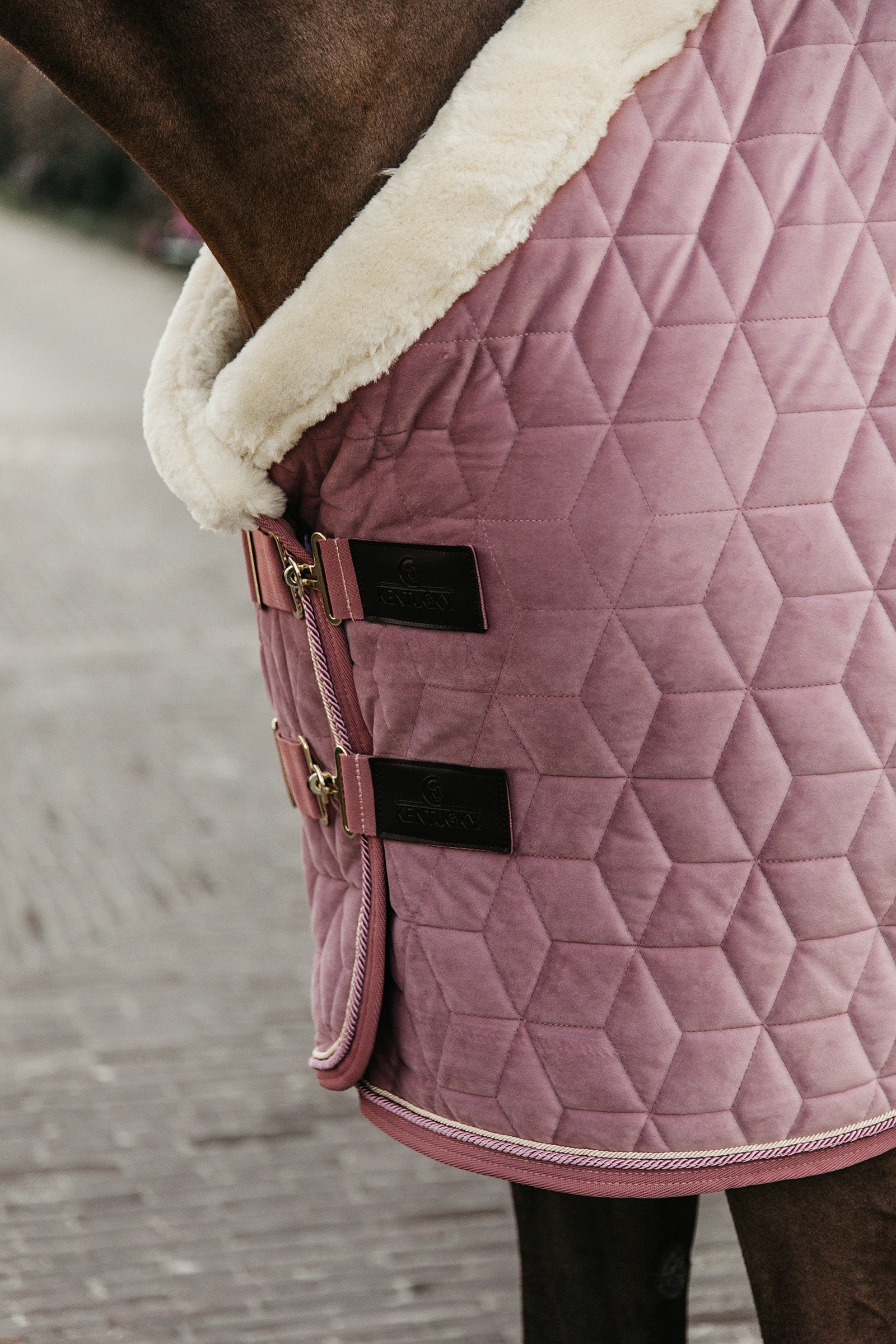 Kentucky Horsewear Velvet Pony Show Rug, 160g Horse Rugs