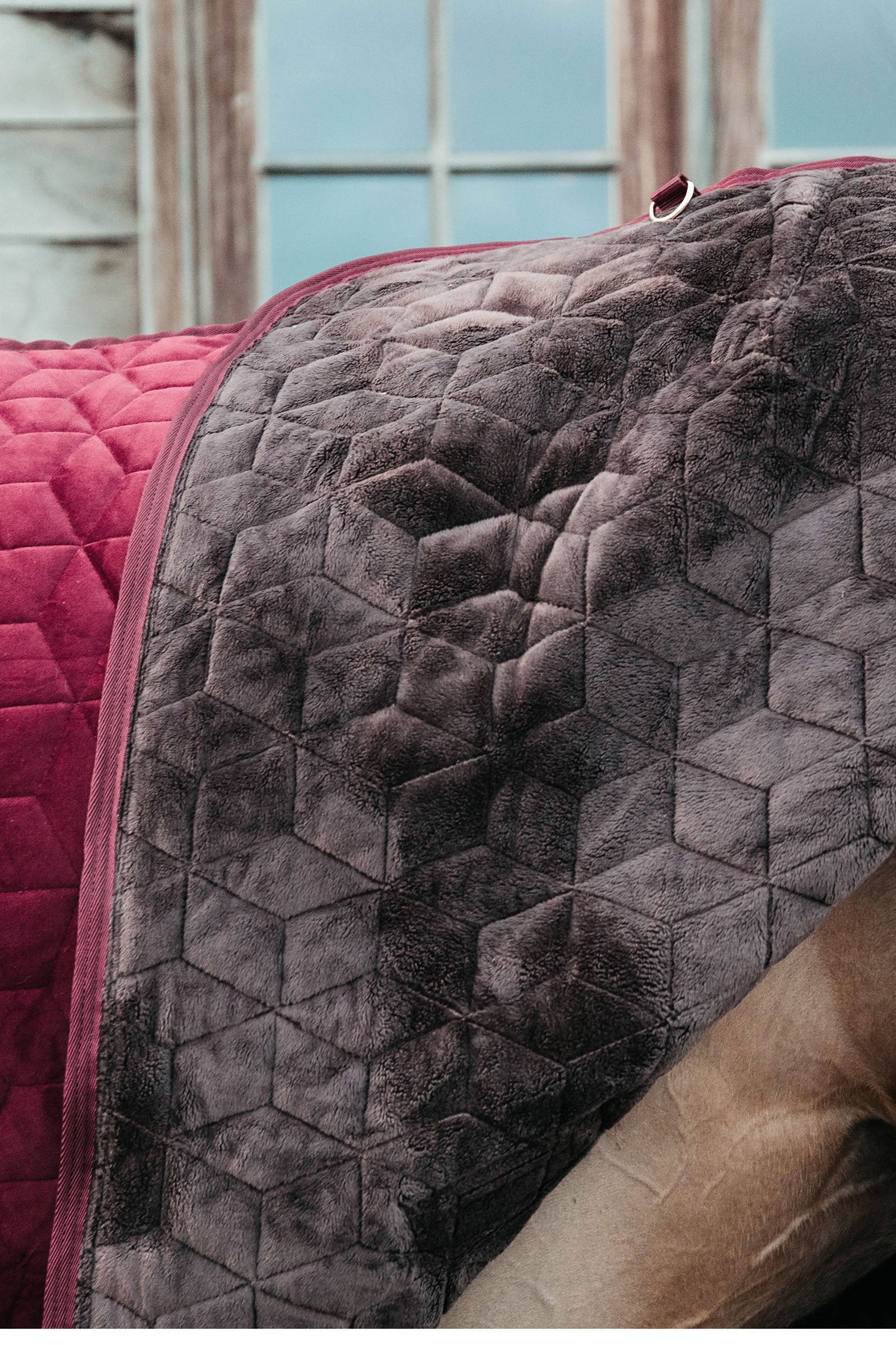 Kentucky Horsewear Velvet Show Rug, 160g Horse Rugs