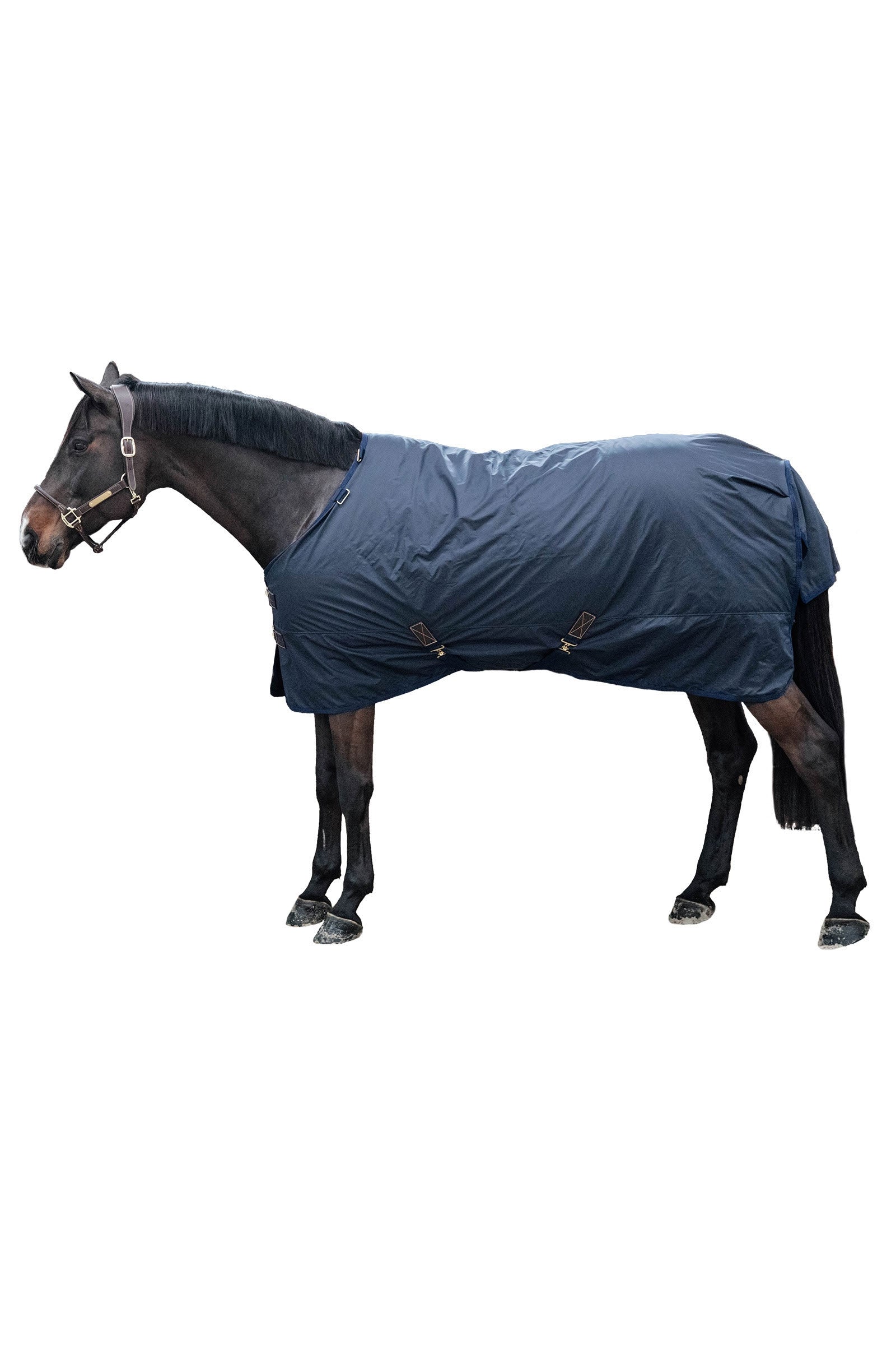 Kentucky Horsewear All Weather Hurricane Turnout, 0g Horse Rugs
