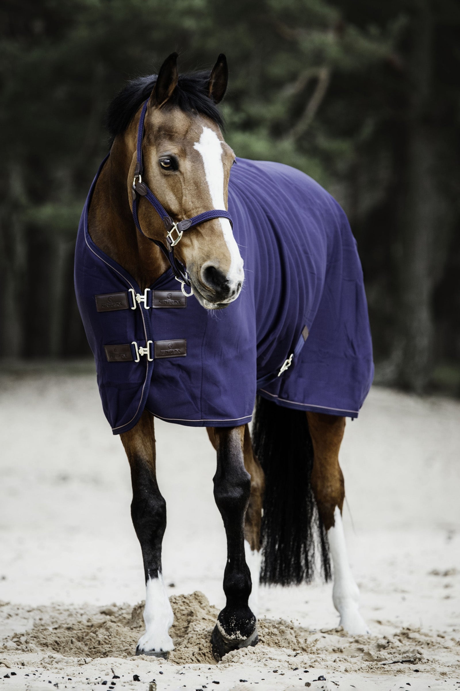Kentucky Horsewear Tiny Fleece Cooler-loimi Loimet