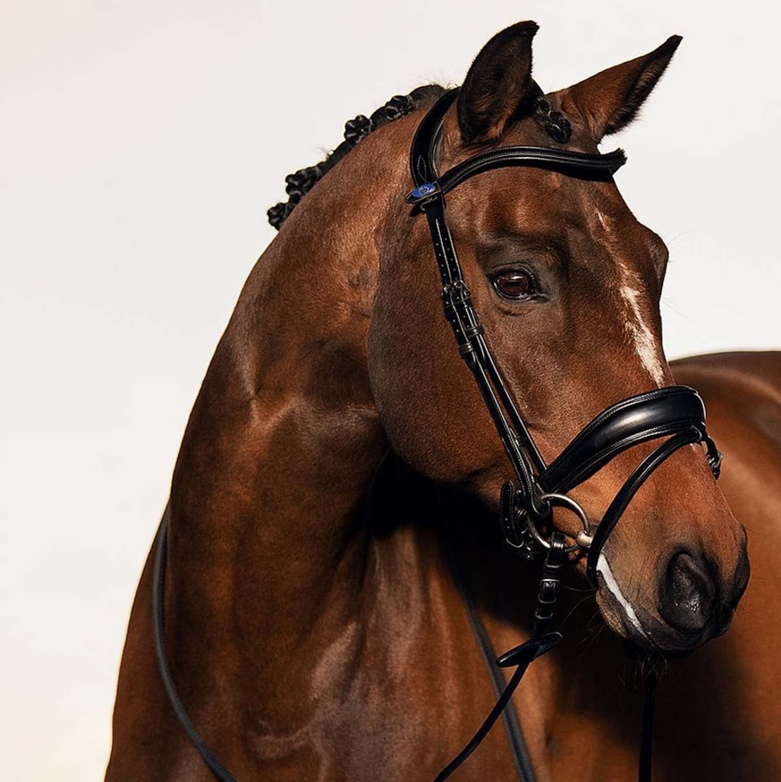 PS of Sweden Flying Change Bridle Bridles & Reins