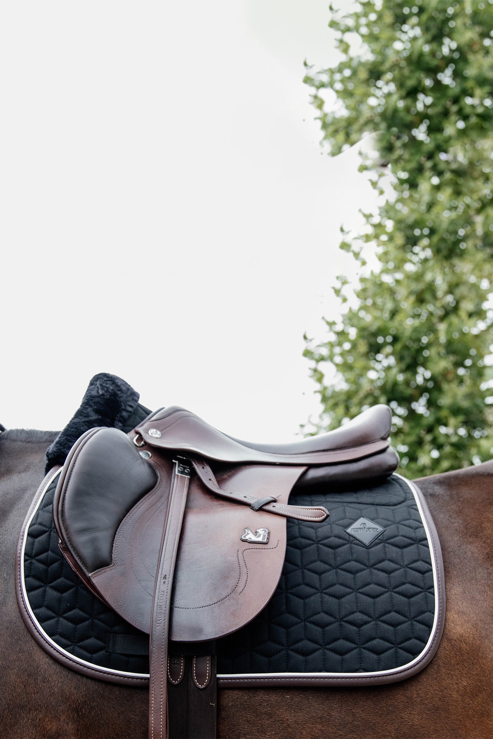 Kentucky Horsewear Skin Friendly Jumping Saddle Pad Saddle Pads