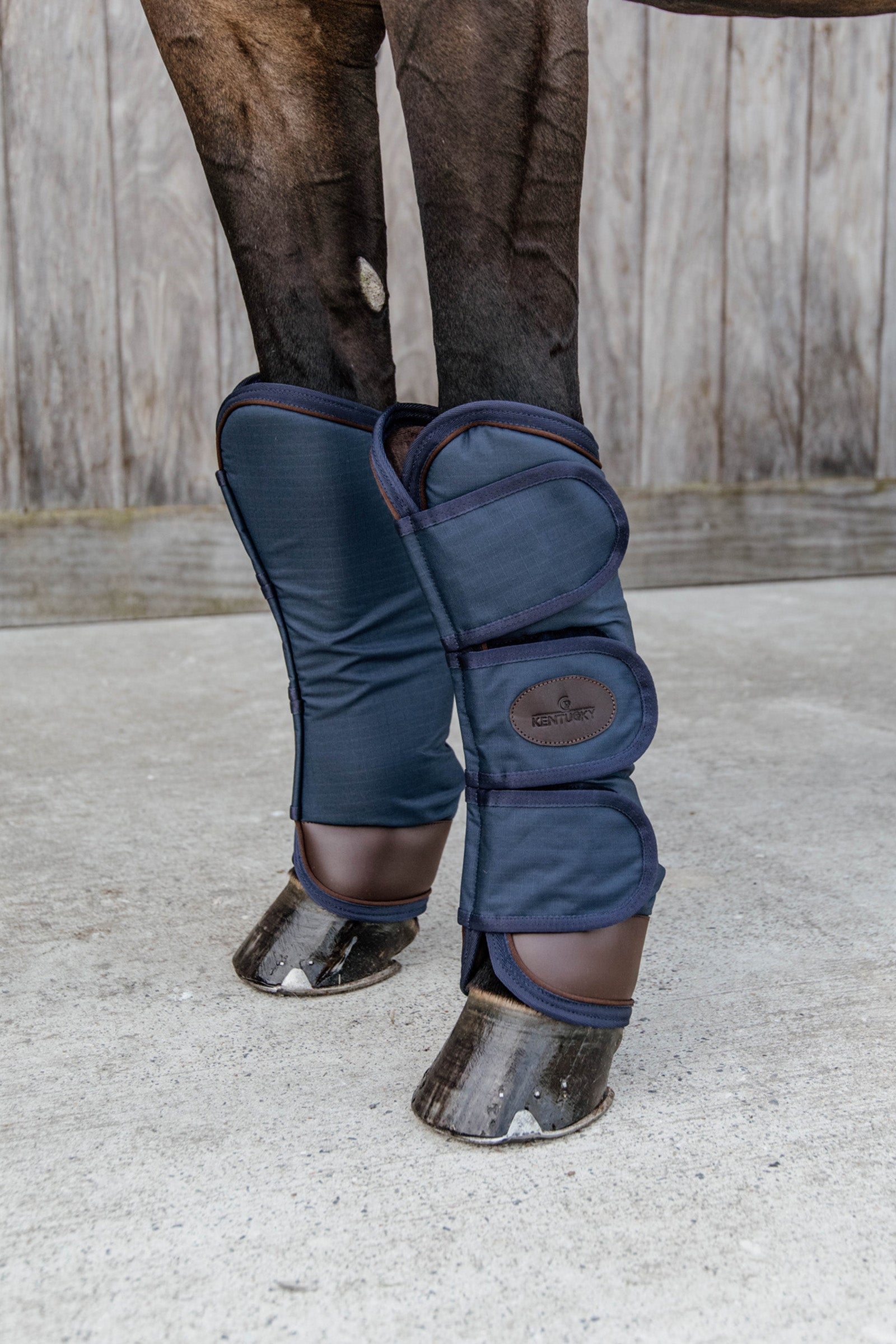 Kentucky Horsewear kuljetussuojat Leg Protection & Hoof Protection for Horses