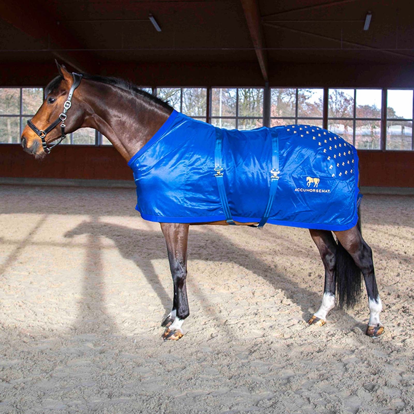 Accuhorsemat Original Horse Rugs