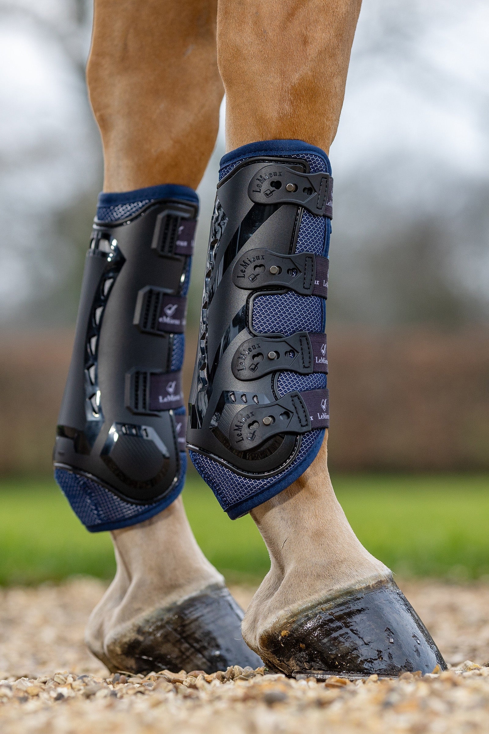 LeMieux Ultra Mesh Snug Boots, Front Leg Protection & Hoof Protection for Horses