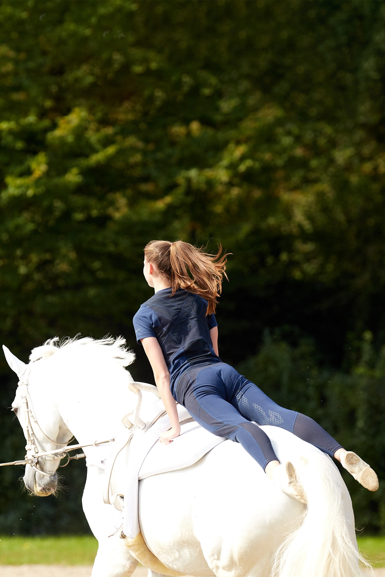 Ariat Ascent Women's Knee Grip Tights Womens Breeches