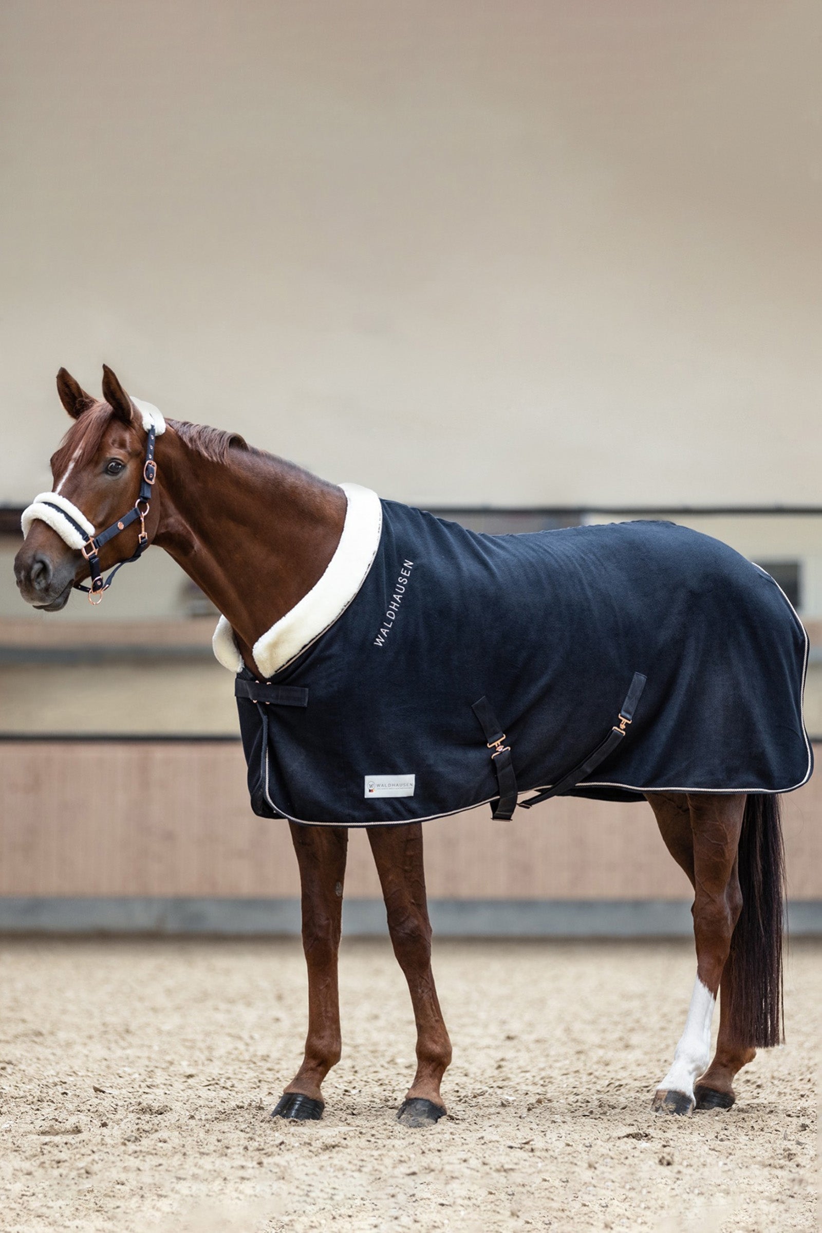 Waldhausen Rosé Modern Fleece Rug Loimet