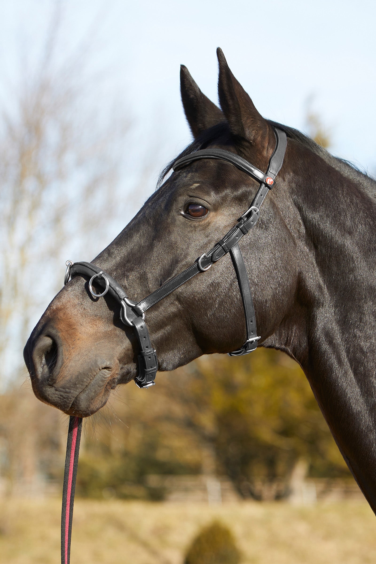 Kieffer Ultrasoft® Cavesson Horse Training