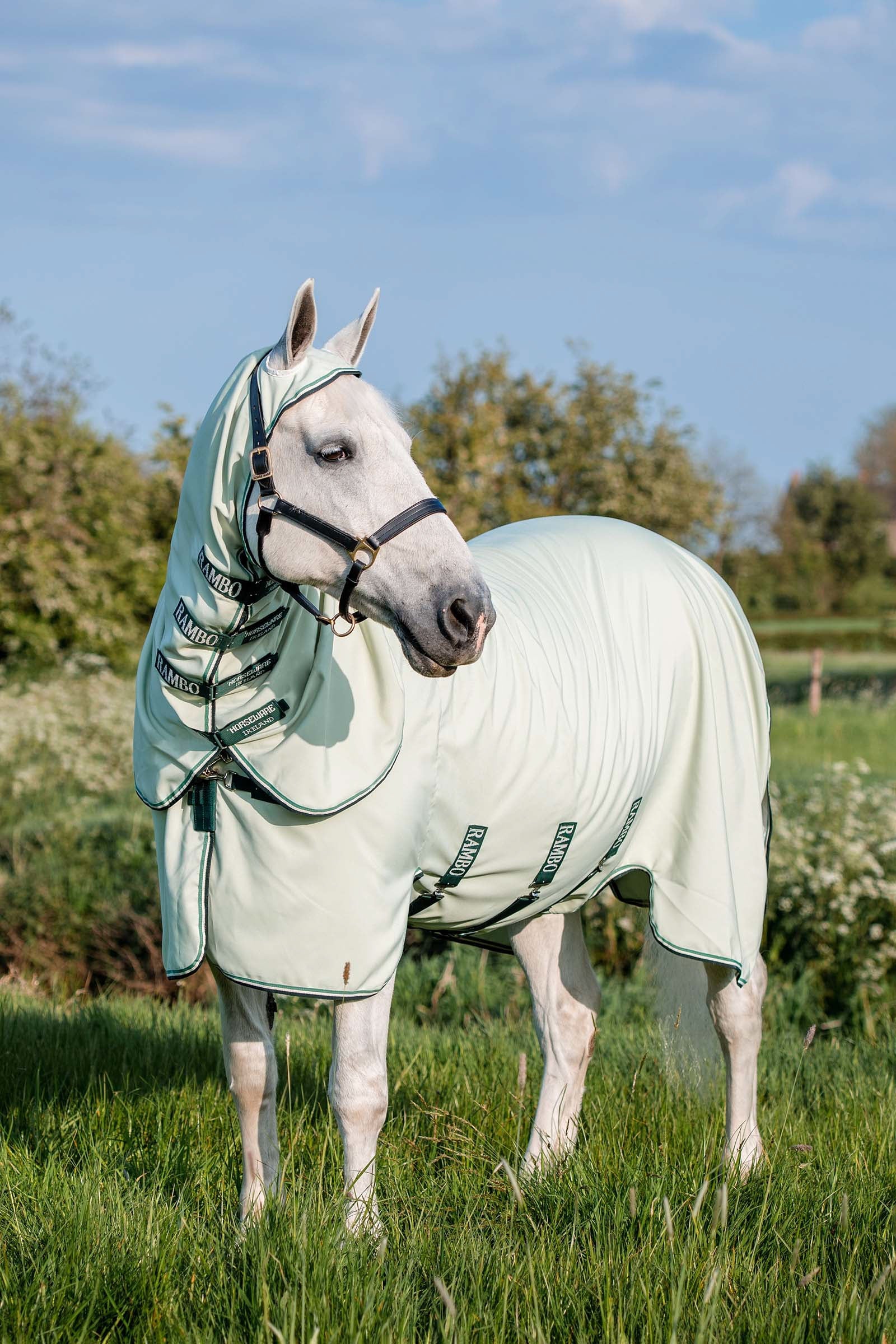 Horseware Rambo Hoody XL hyönteisloimi kaulakappaleella Loimet