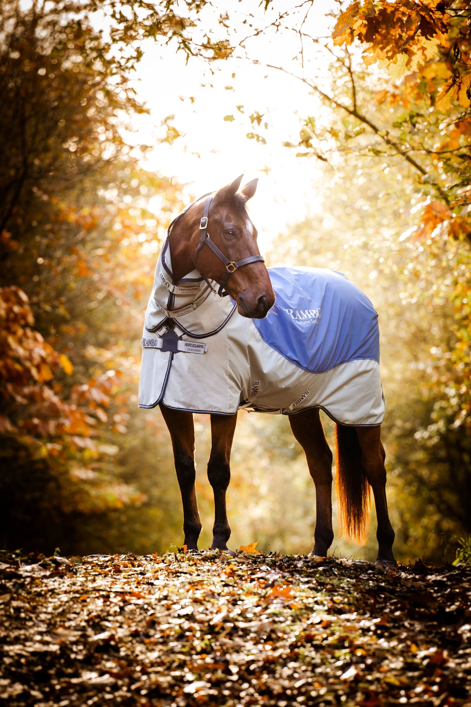 Horseware Rambo Autumn Series ulkoloimi alusloimella (0 g / 100 g) Loimet