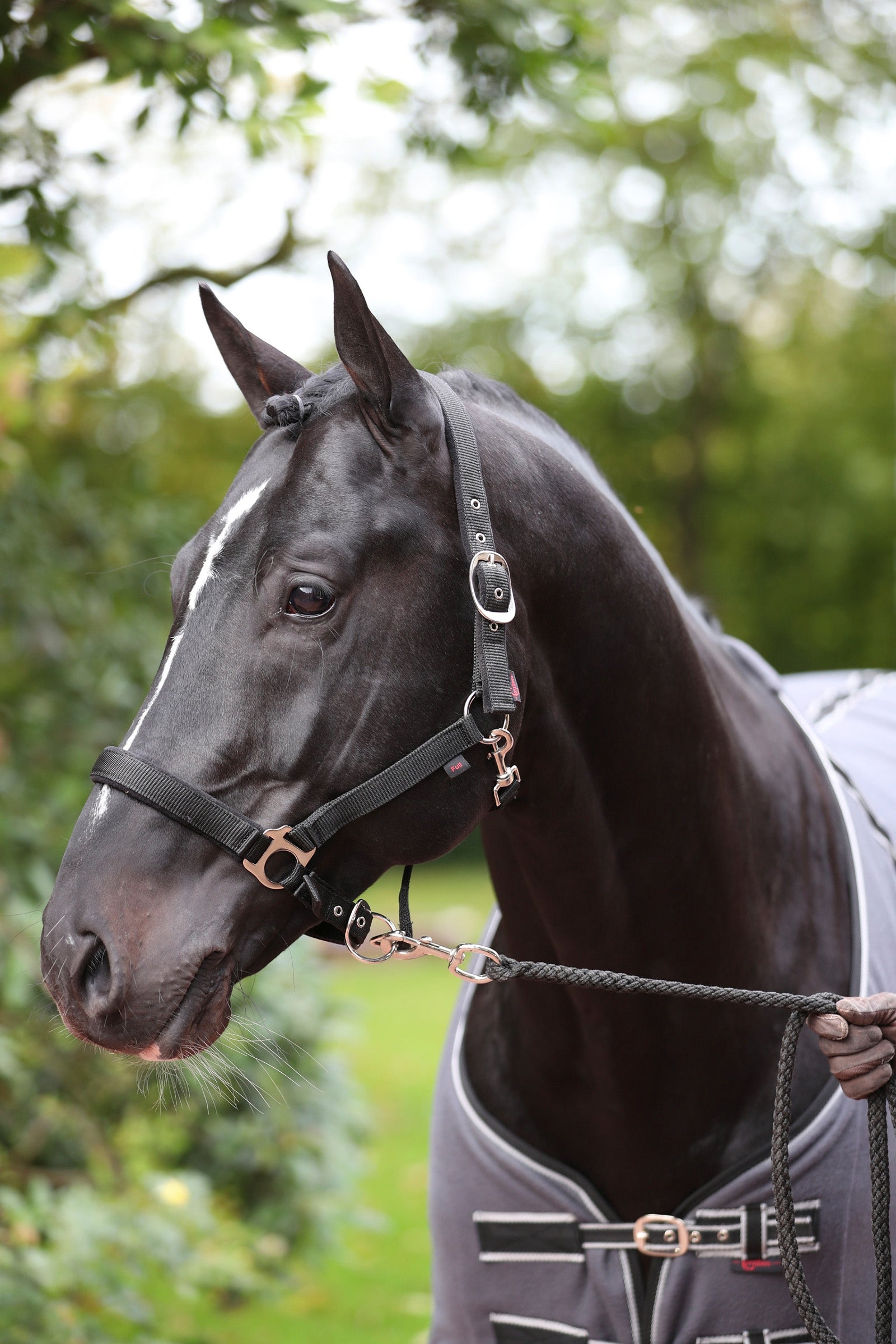 Covalliero Dexter riimu fleecevuorauksella Riimut & riimunnarut