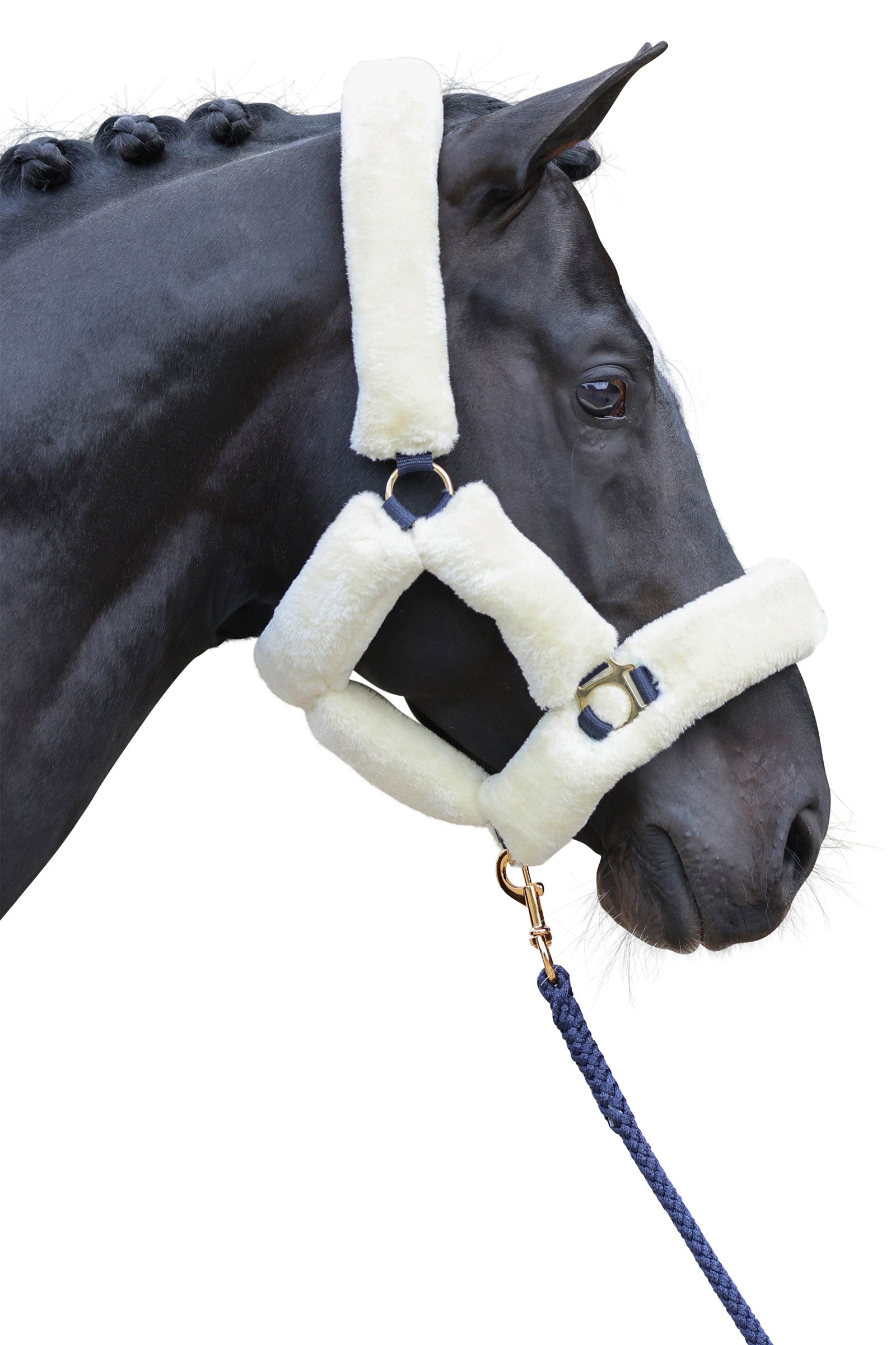 Covalliero SuperSoft Halter Halters & Leads