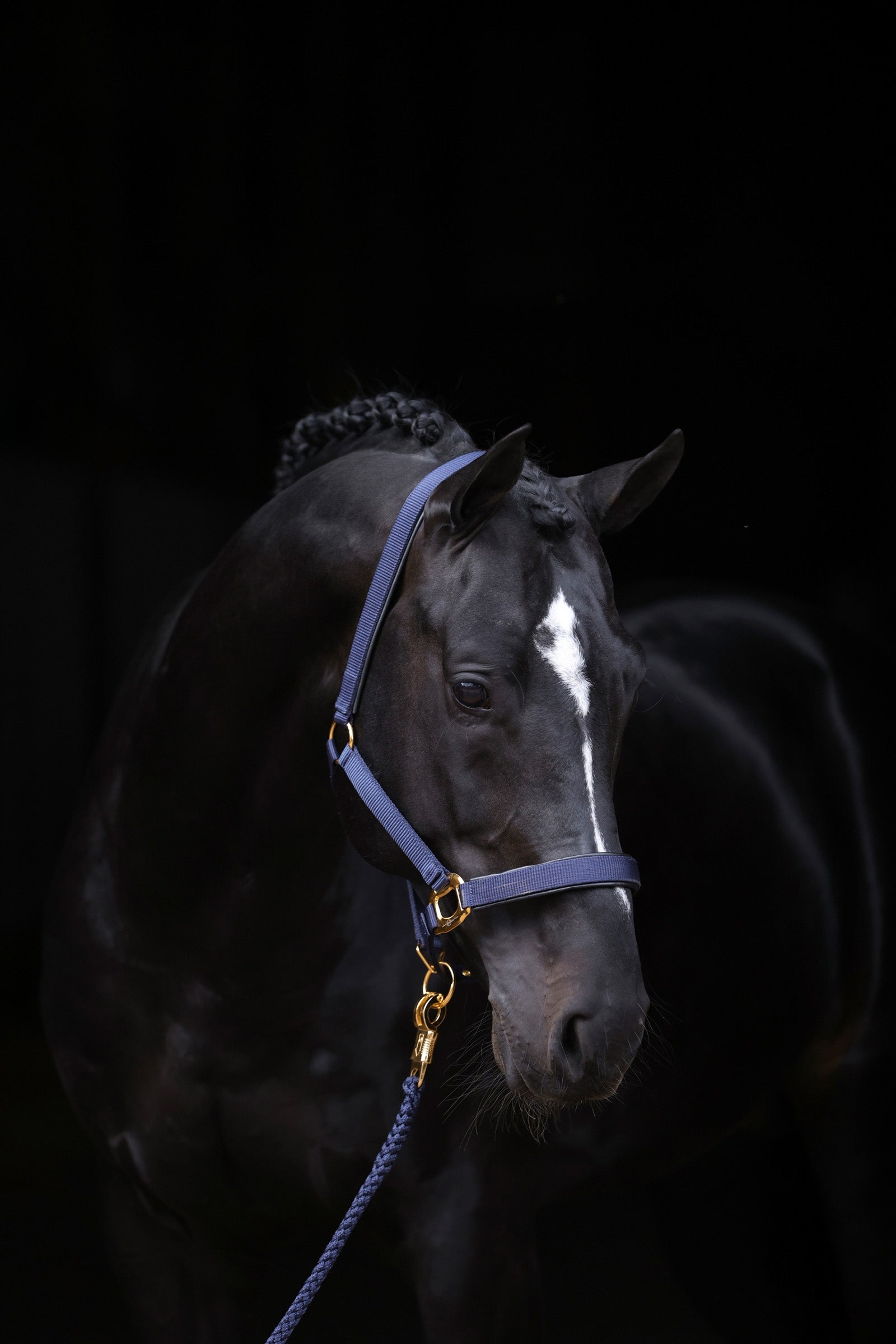 Covalliero TopLine riimu Riimut & riimunnarut