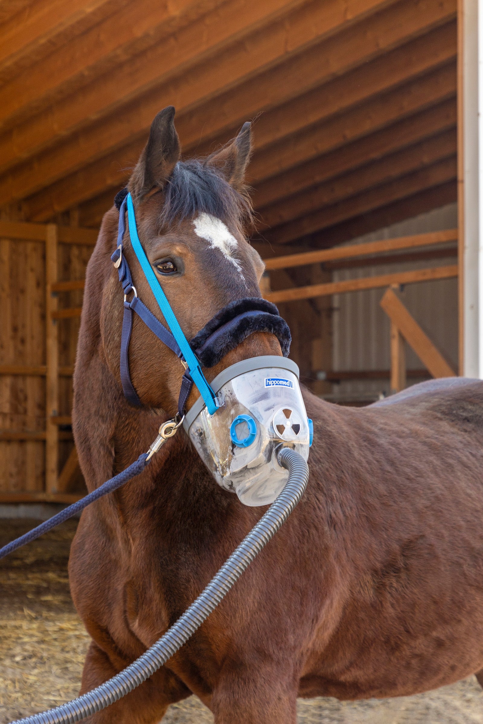 Hippomed Inhalation Mask incl. Accessories for AirOne, Draft Horse Health Care