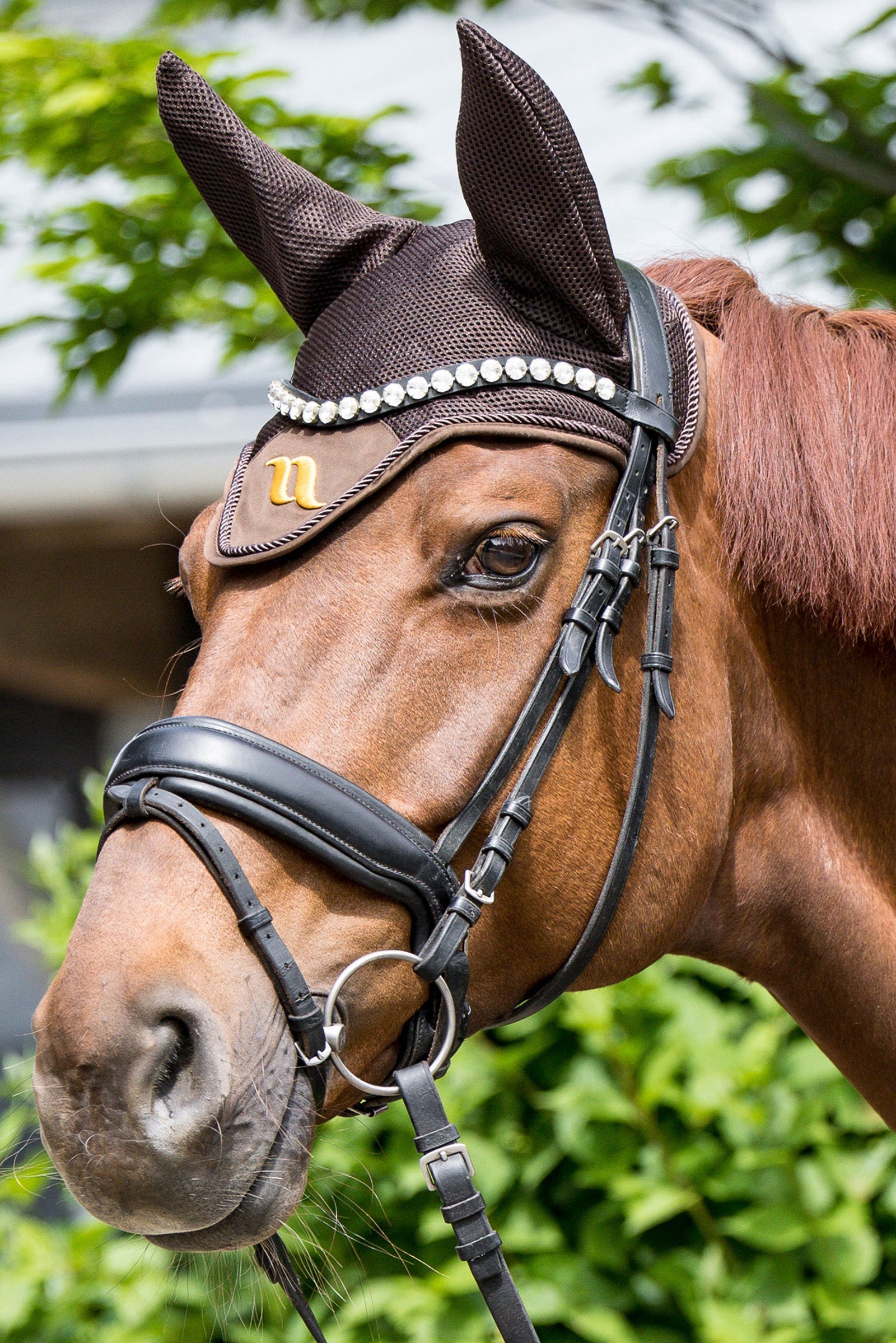 Back on Track Airflow Fly Hood Saddle Pads