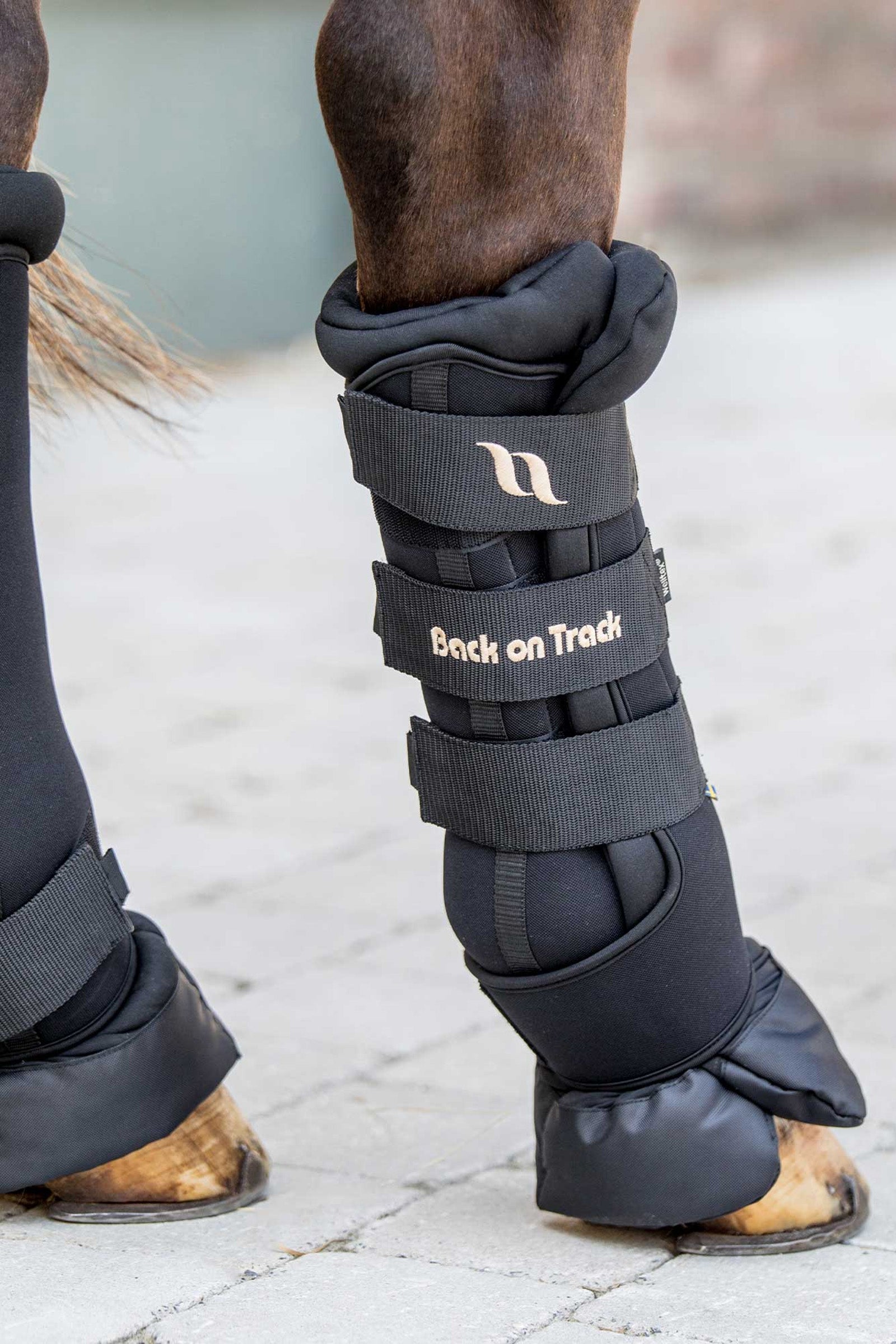 Back on Track Royal Quick Wraps Deluxe (2 kpl) Leg Protection & Hoof Protection for Horses