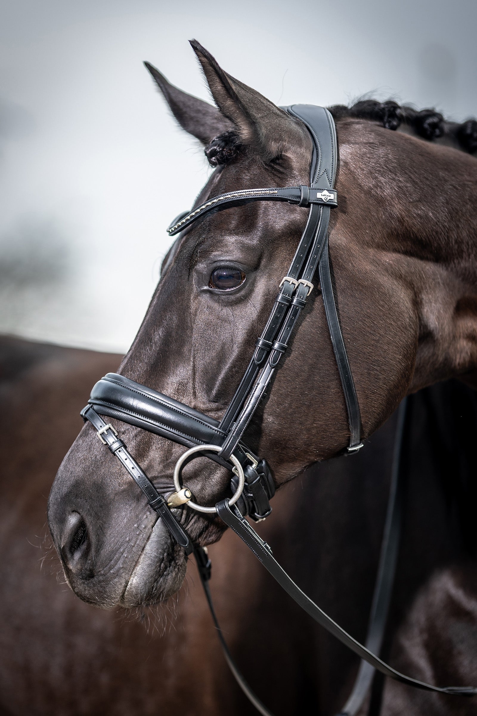LeMieux Kudos Classic Dressage Bridle Bridles & Reins