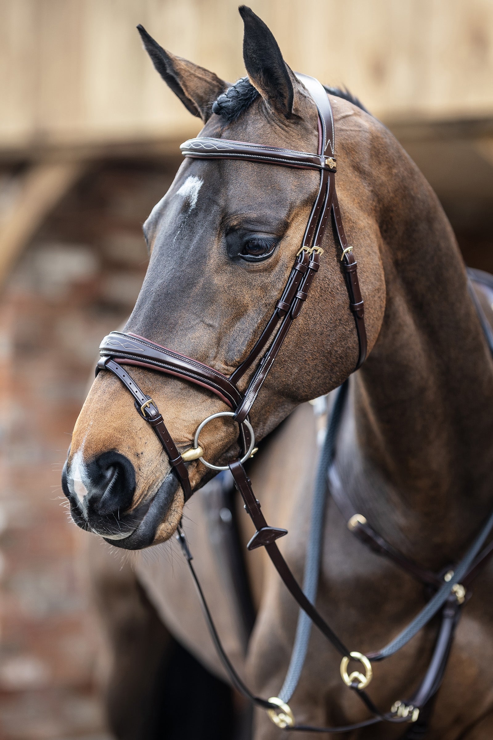 LeMieux Competiton Flash Bridle Suitset & Ohjat