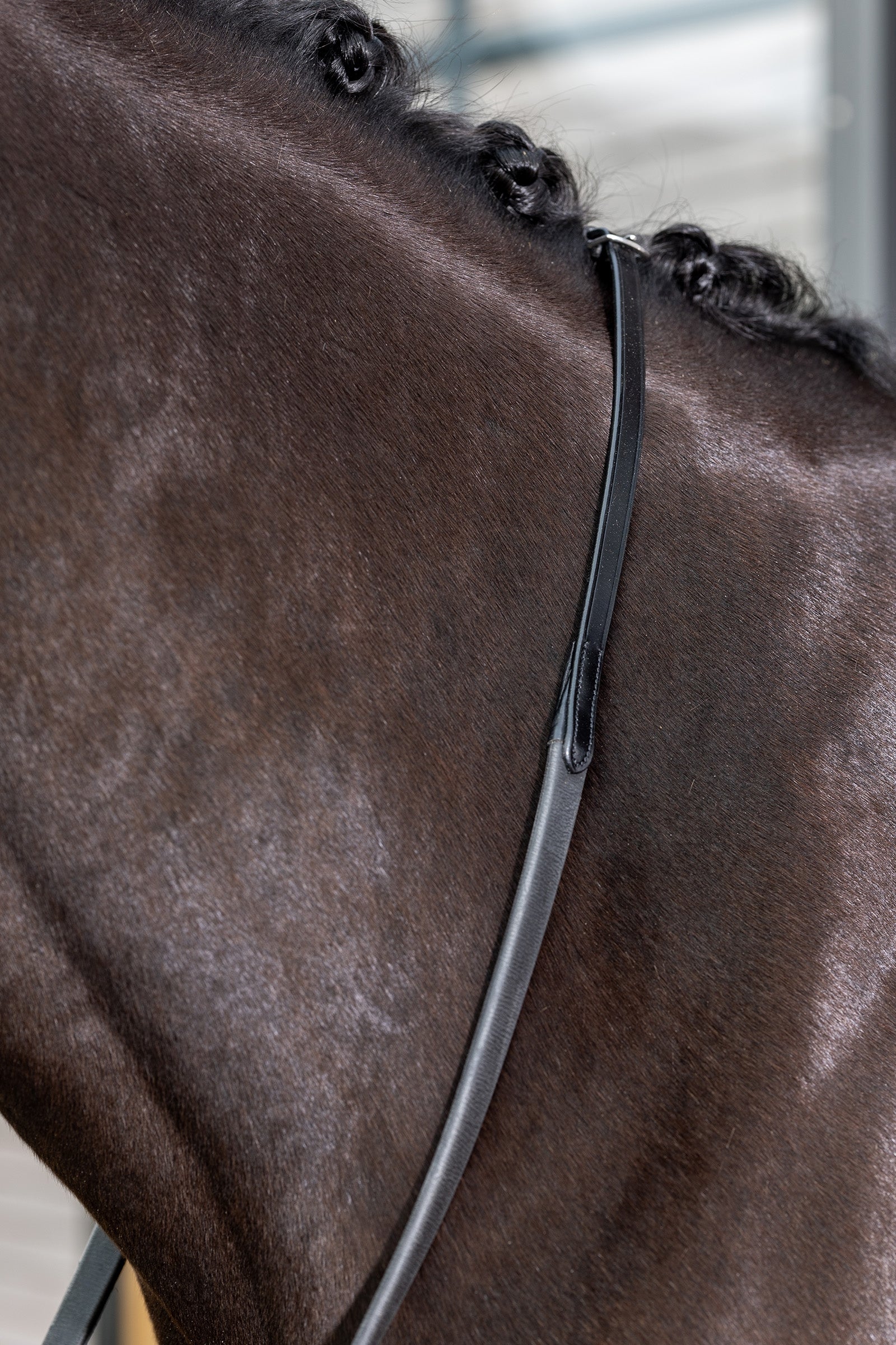 LeMieux Kris Extreme Rubber Reins Suitset & Ohjat