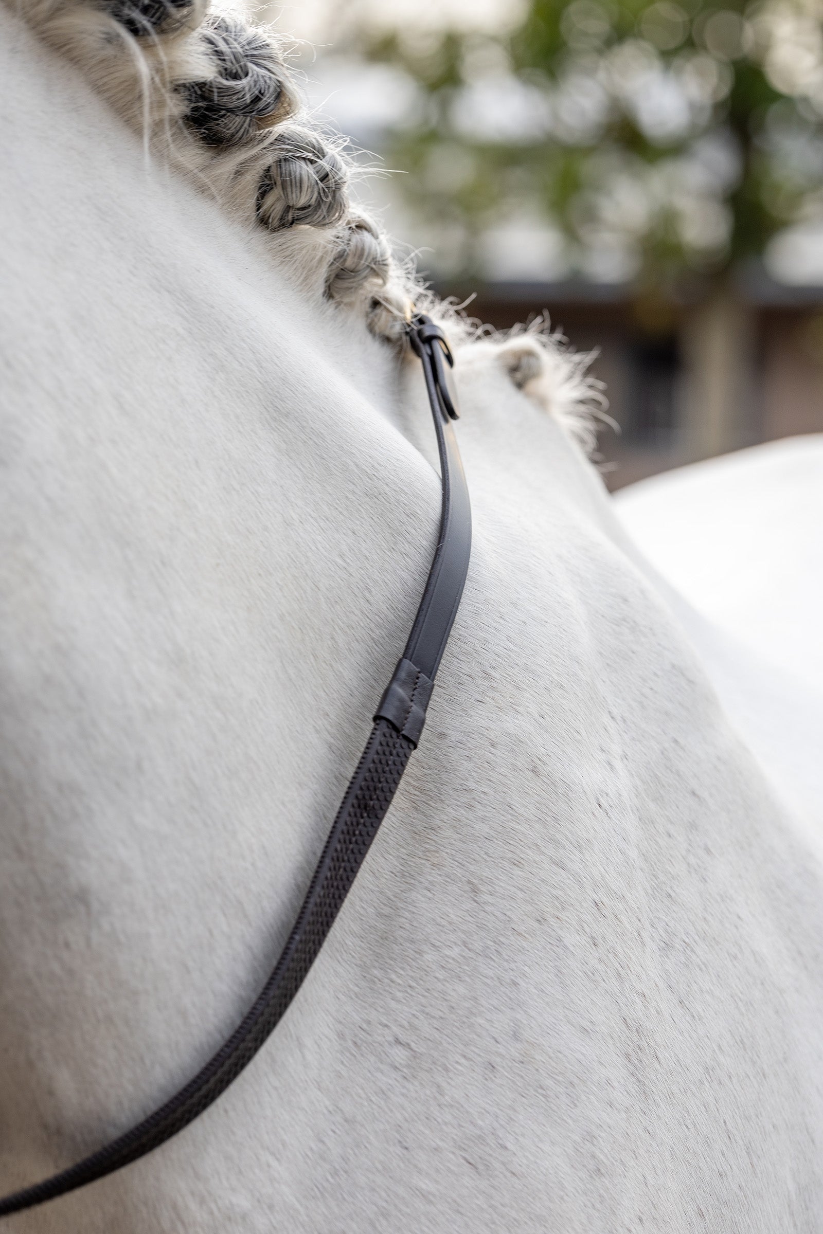 LeMieux Rubber Reins Suitset & Ohjat