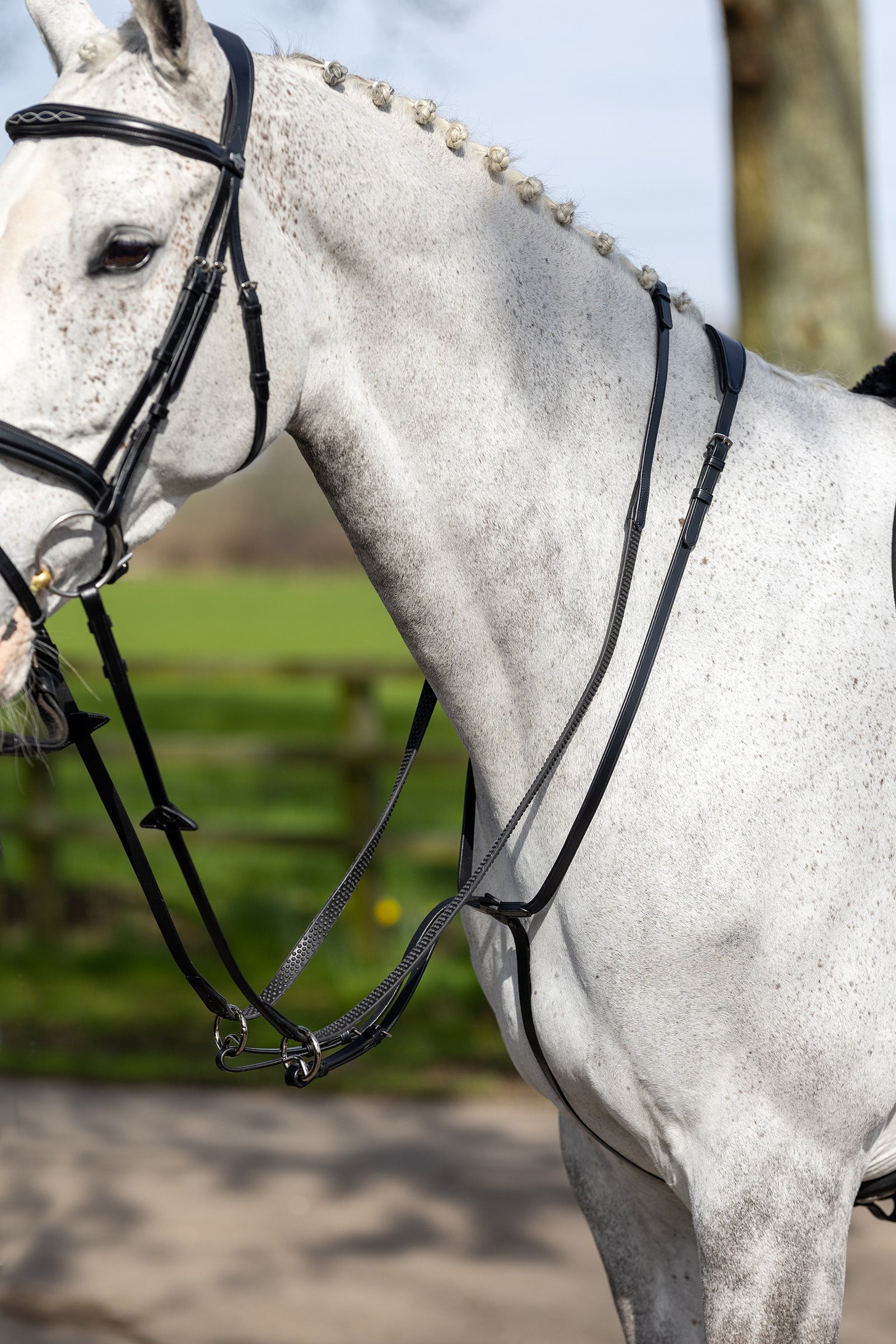 LeMieux Running Martingale Suitset & Ohjat