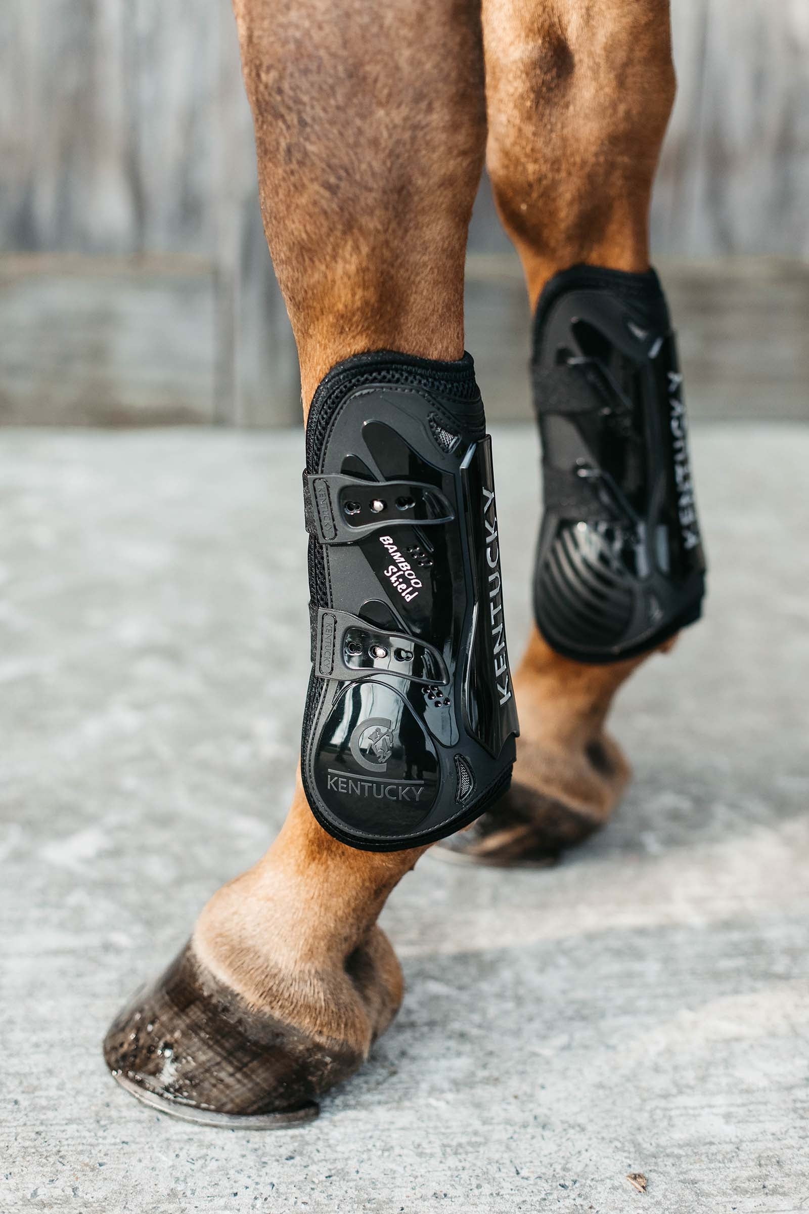 Kentucky Horsewear Bamboo Elastic jännesuojat Leg Protection & Hoof Protection for Horses