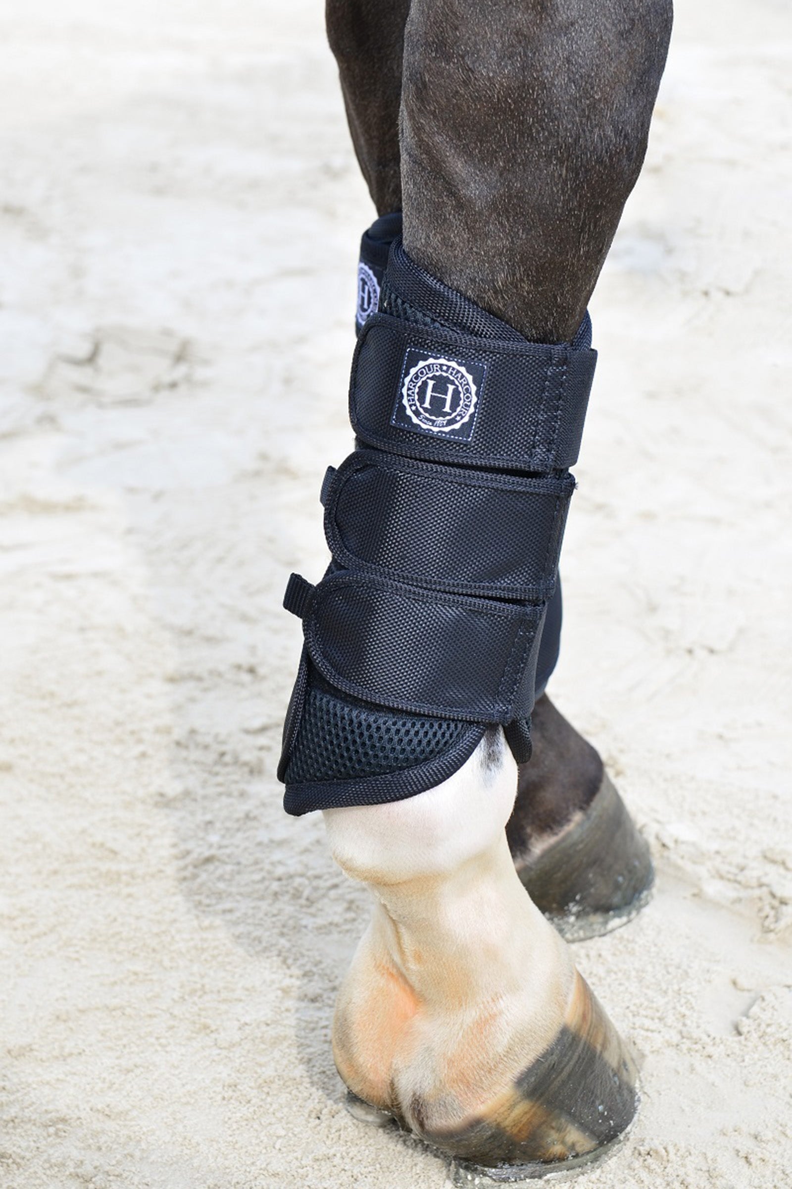 Harcour Cosmic Mesh Tendon Boots Leg Protection & Hoof Protection for Horses