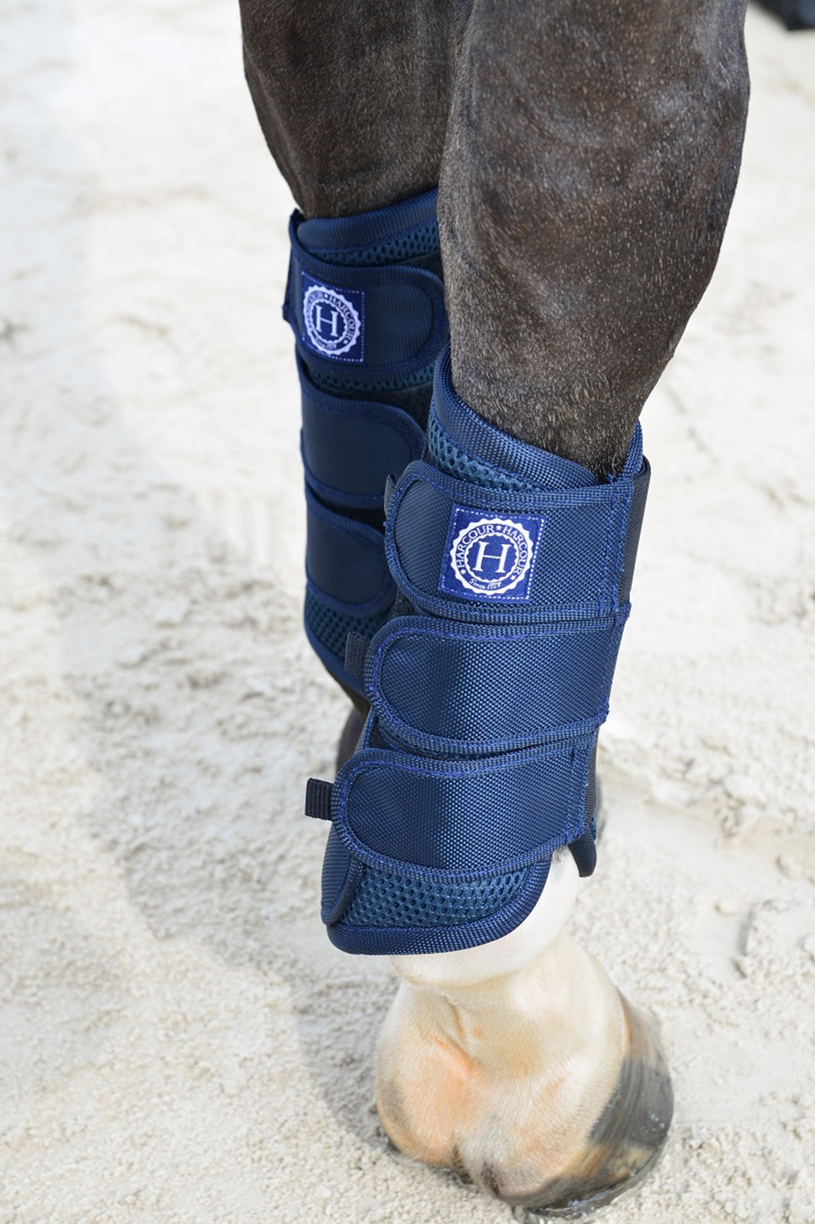 Harcour Cosmic Mesh -jännesaappaat Leg Protection & Hoof Protection for Horses
