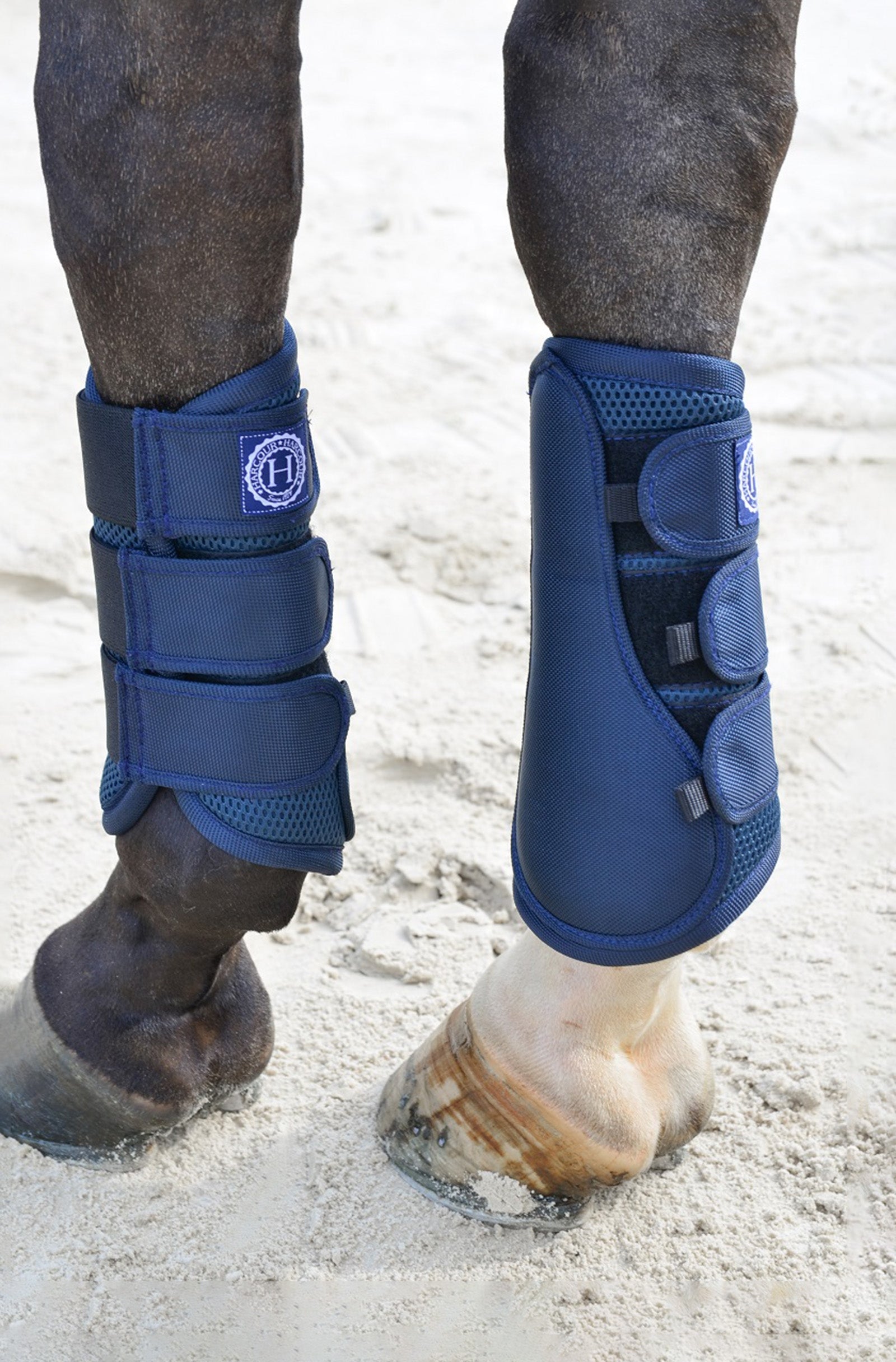 Harcour Cosmic Mesh Tendon Boots Leg Protection & Hoof Protection for Horses