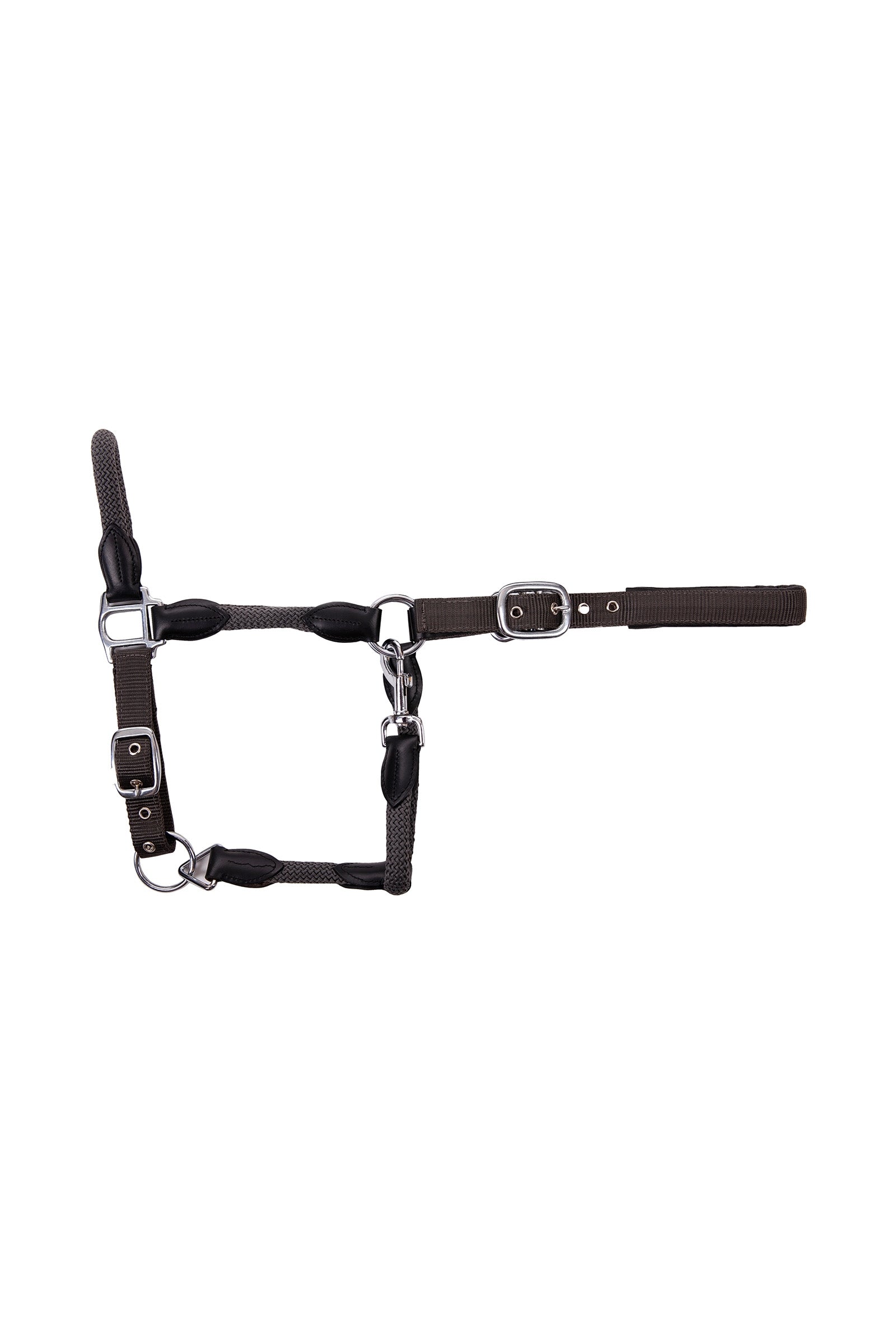 USG Dublin Halter Halters & Leads
