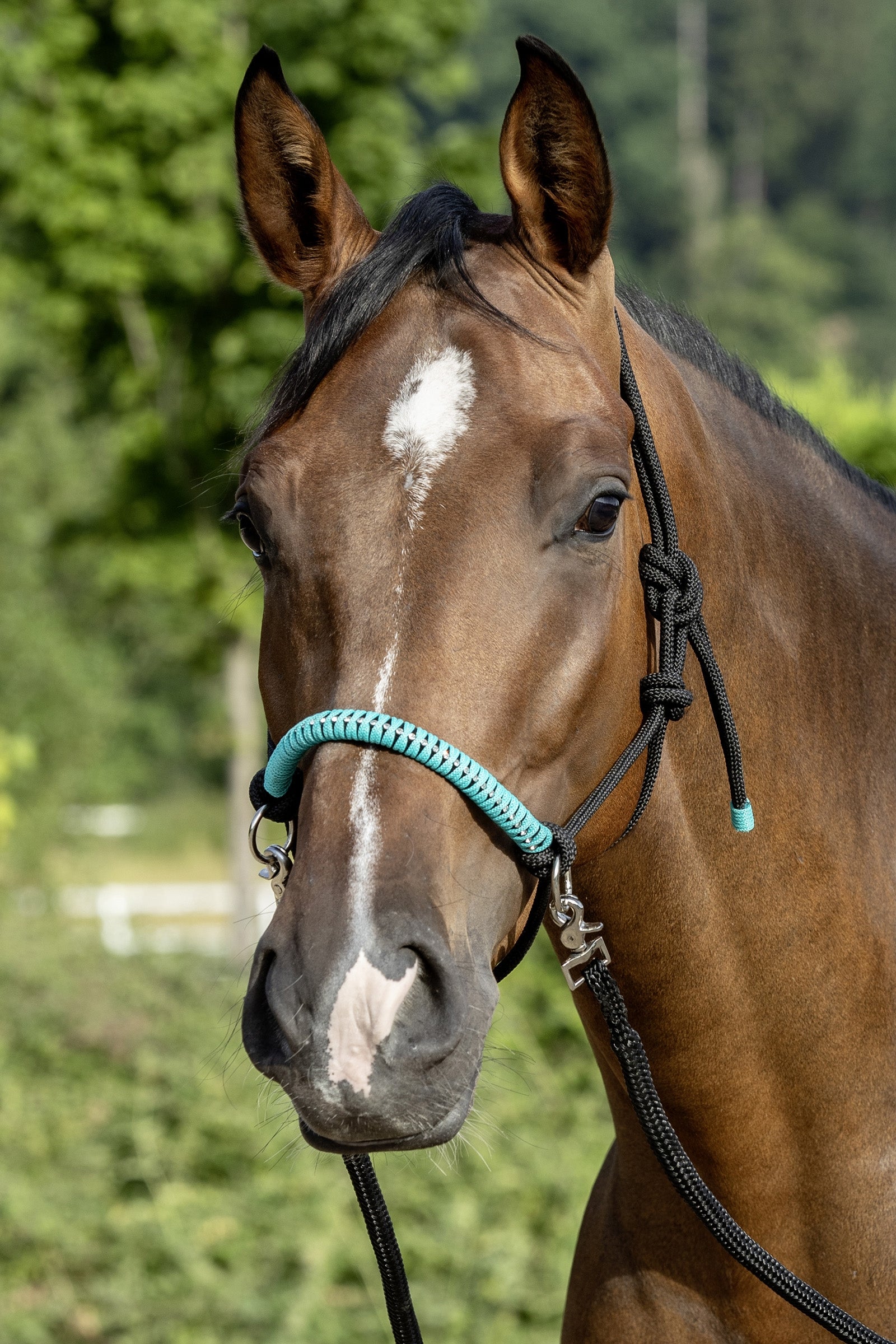 USG Knotted Rope Halter with Reins Riimut & riimunnarut