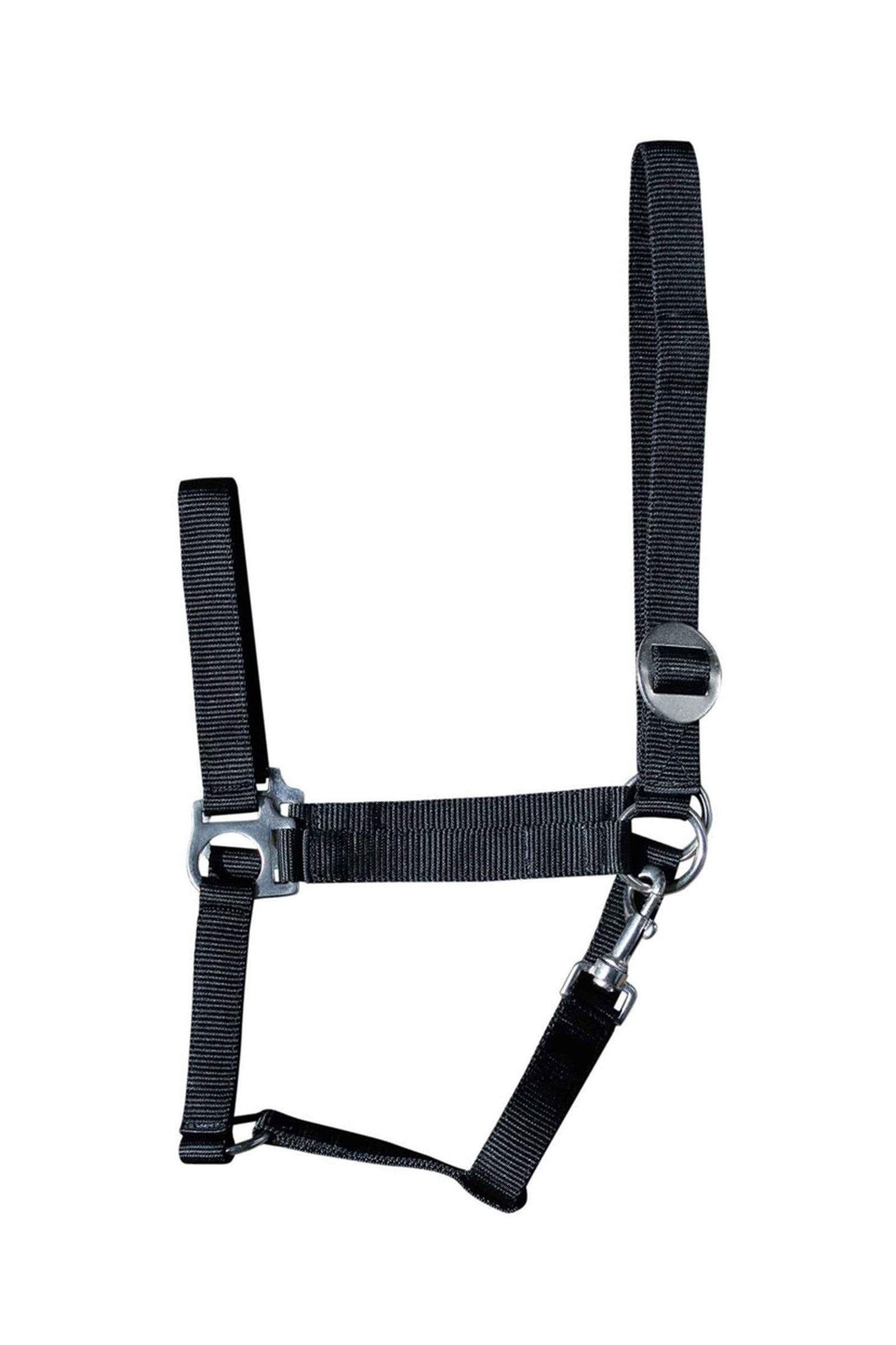 Harry's Horse Economy Headcollar Riimut & riimunnarut