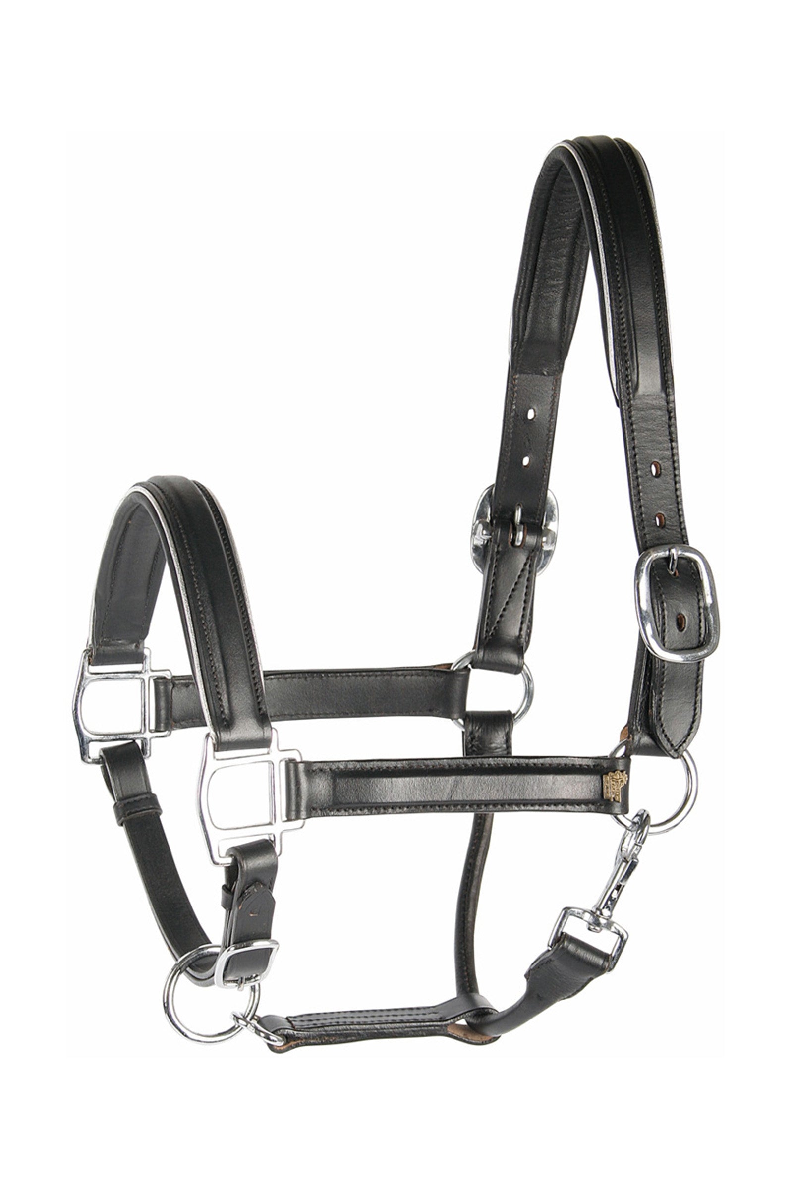 Harry's Horse Leather Headcollar with Piping Riimut & riimunnarut
