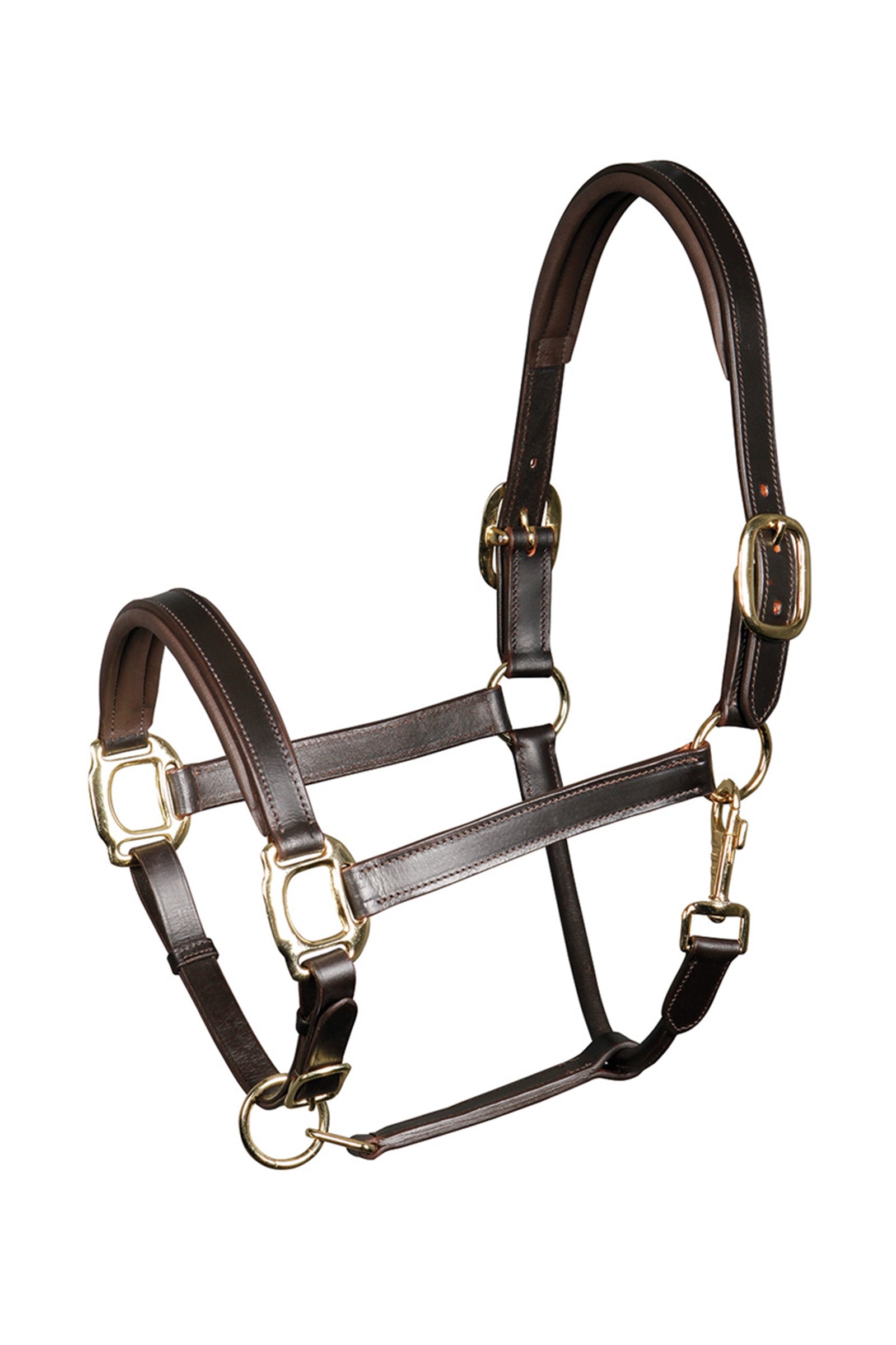 Harry's Horse Padded Leather Headcollar Riimut & riimunnarut