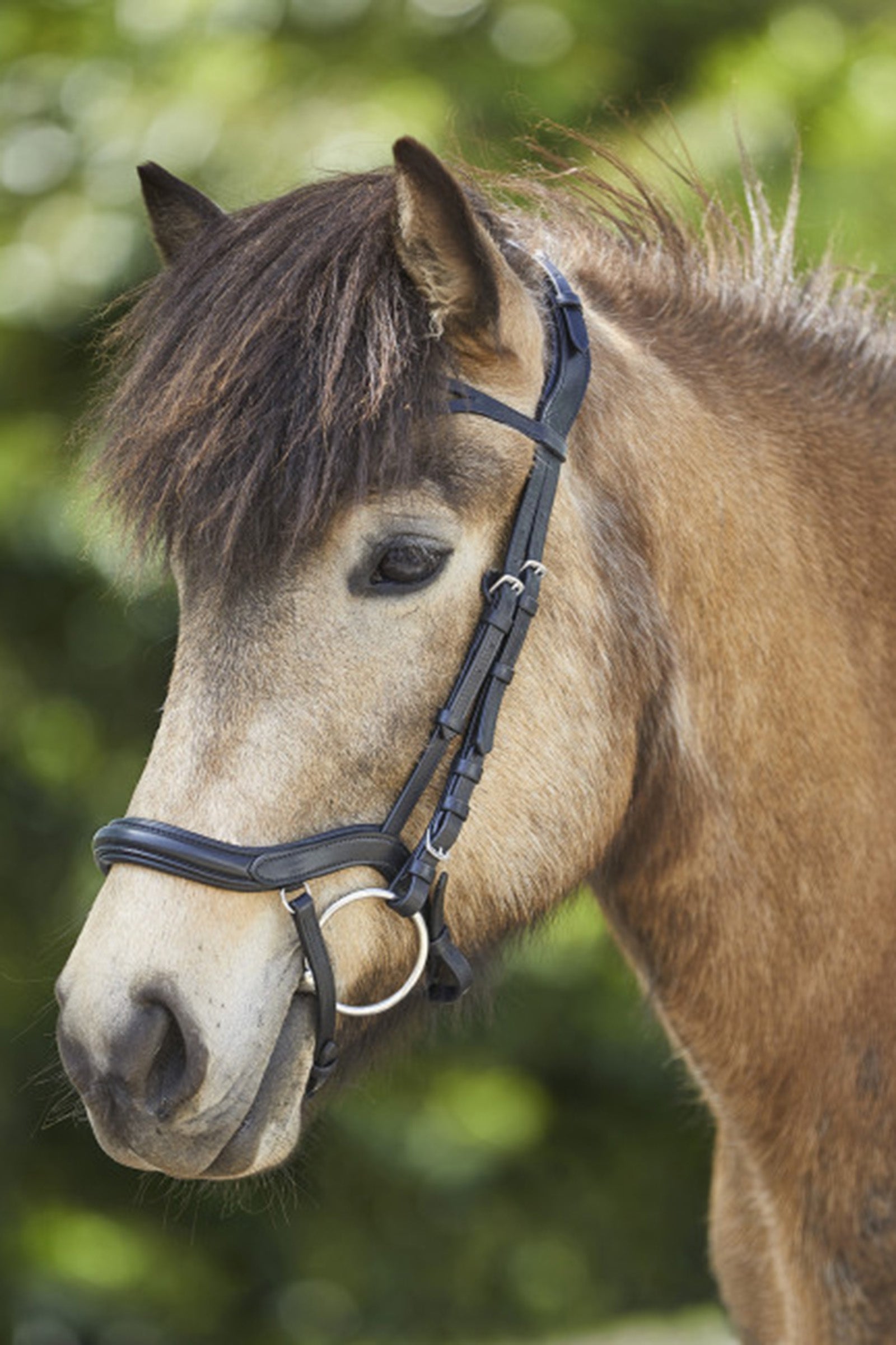 Waldhausen Anatomical Icelandic Bridle Bridles & Reins