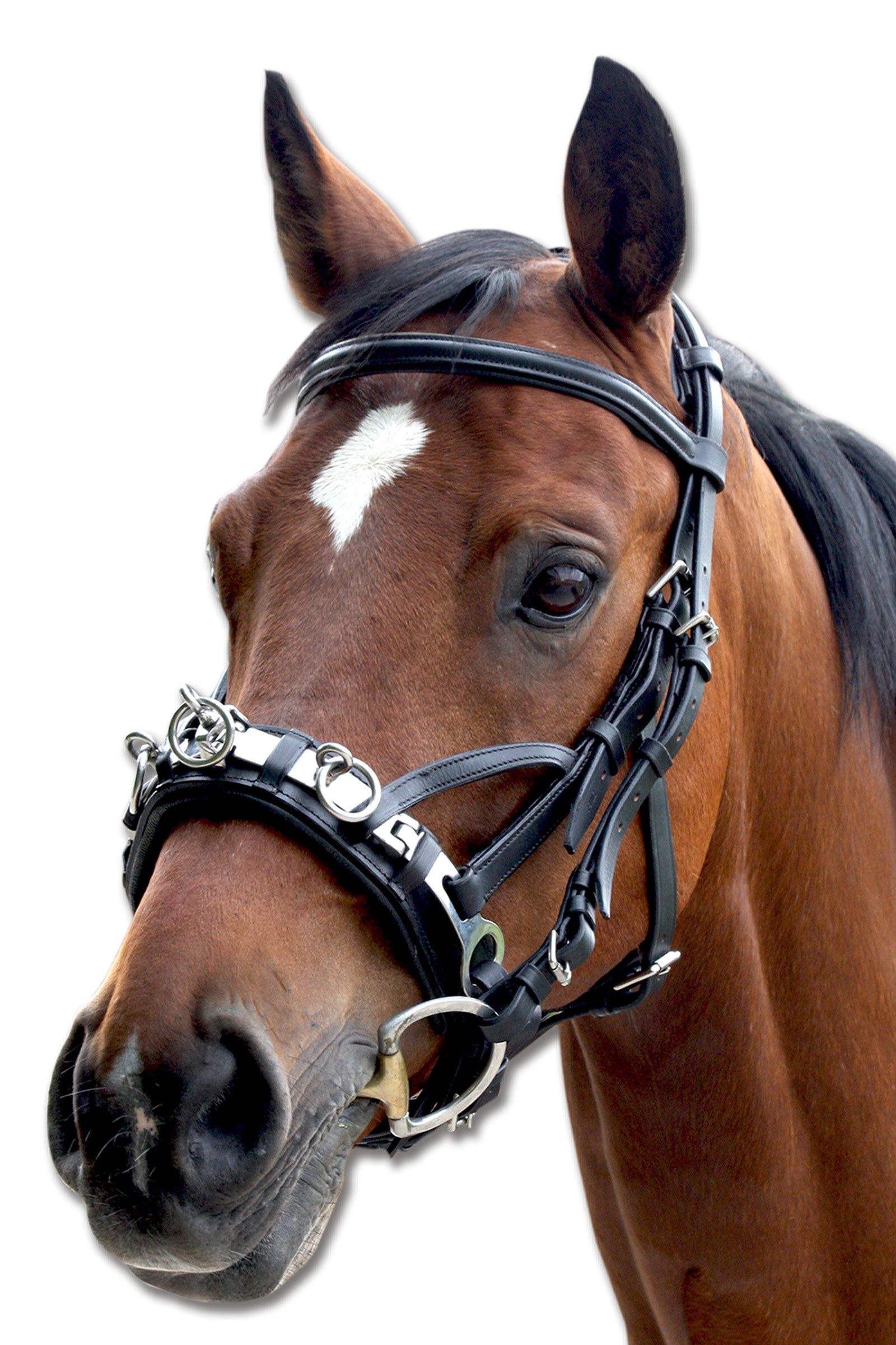 Waldhausen Leather Cavesson Juoksutus & ohjasajo