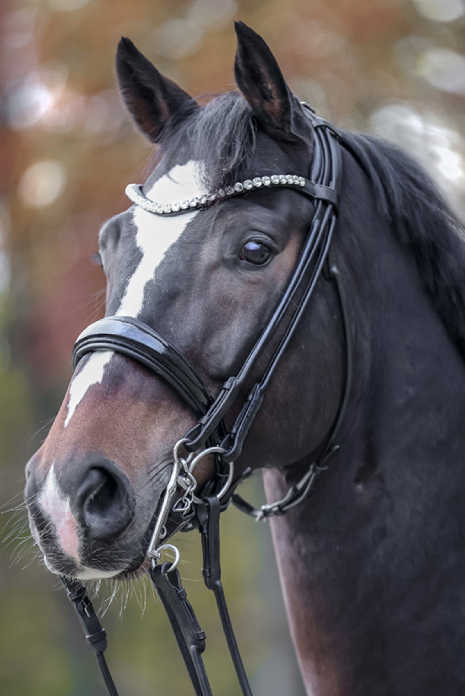 Kavalkade Fleur Double Bridle Bridles & Reins