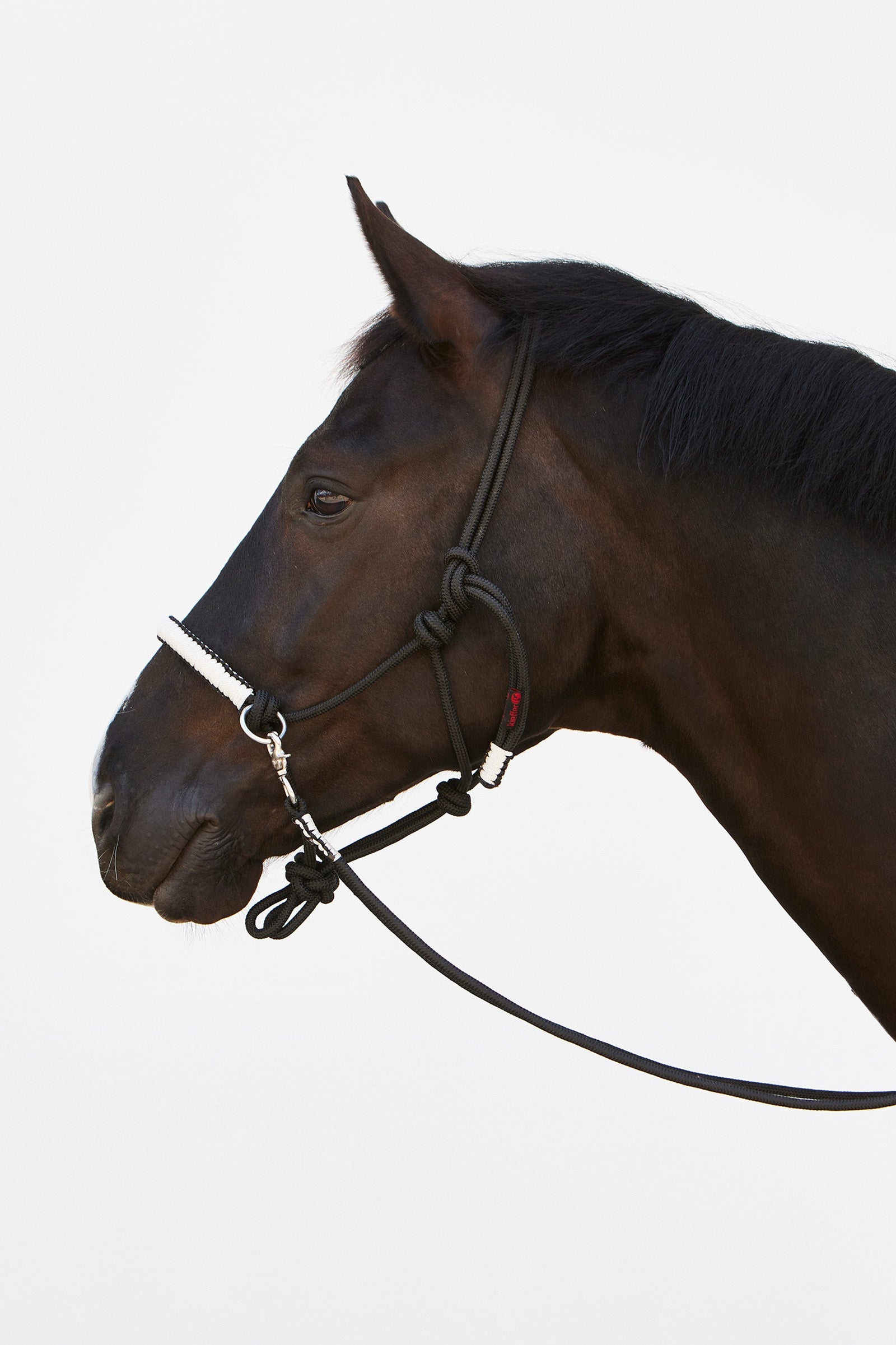 Kieffer Ruby Rope Halter Halters & Leads
